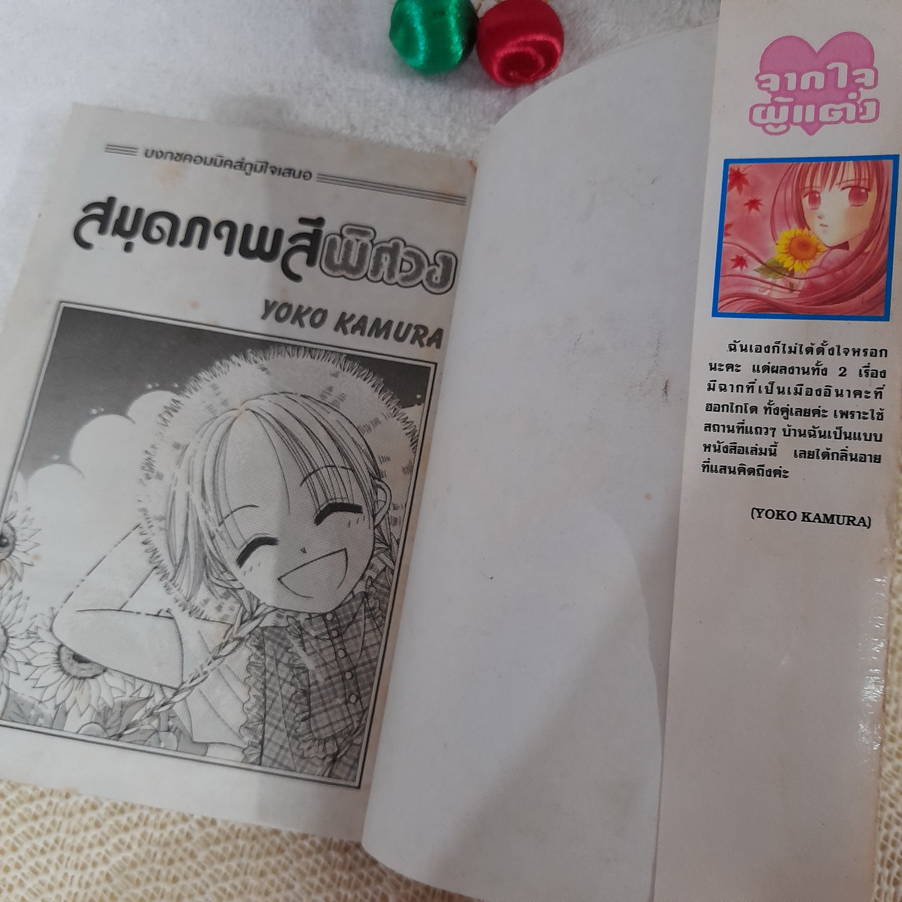 สมุดภาพสีพิศวง / Yoko Kamura