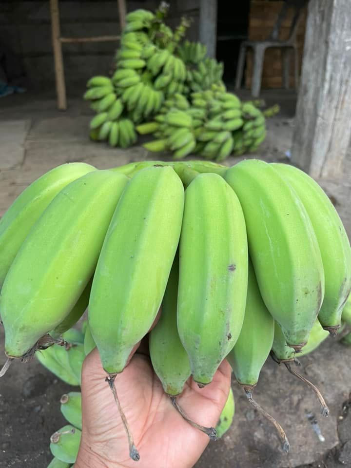 กล้วยน้ำว้าดิบผงวิตามินซีพลัส