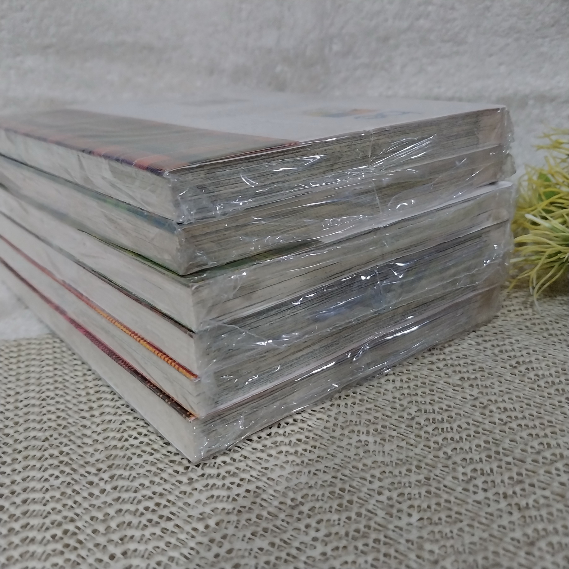 เก๋าโจ๋ โก๋พันธุ์สวย 1-6 จบ (ปก 45)