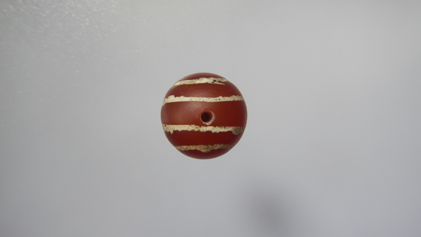 คาเนเลียนเขียนสีเม็ดที่2(ขายแล้ว)