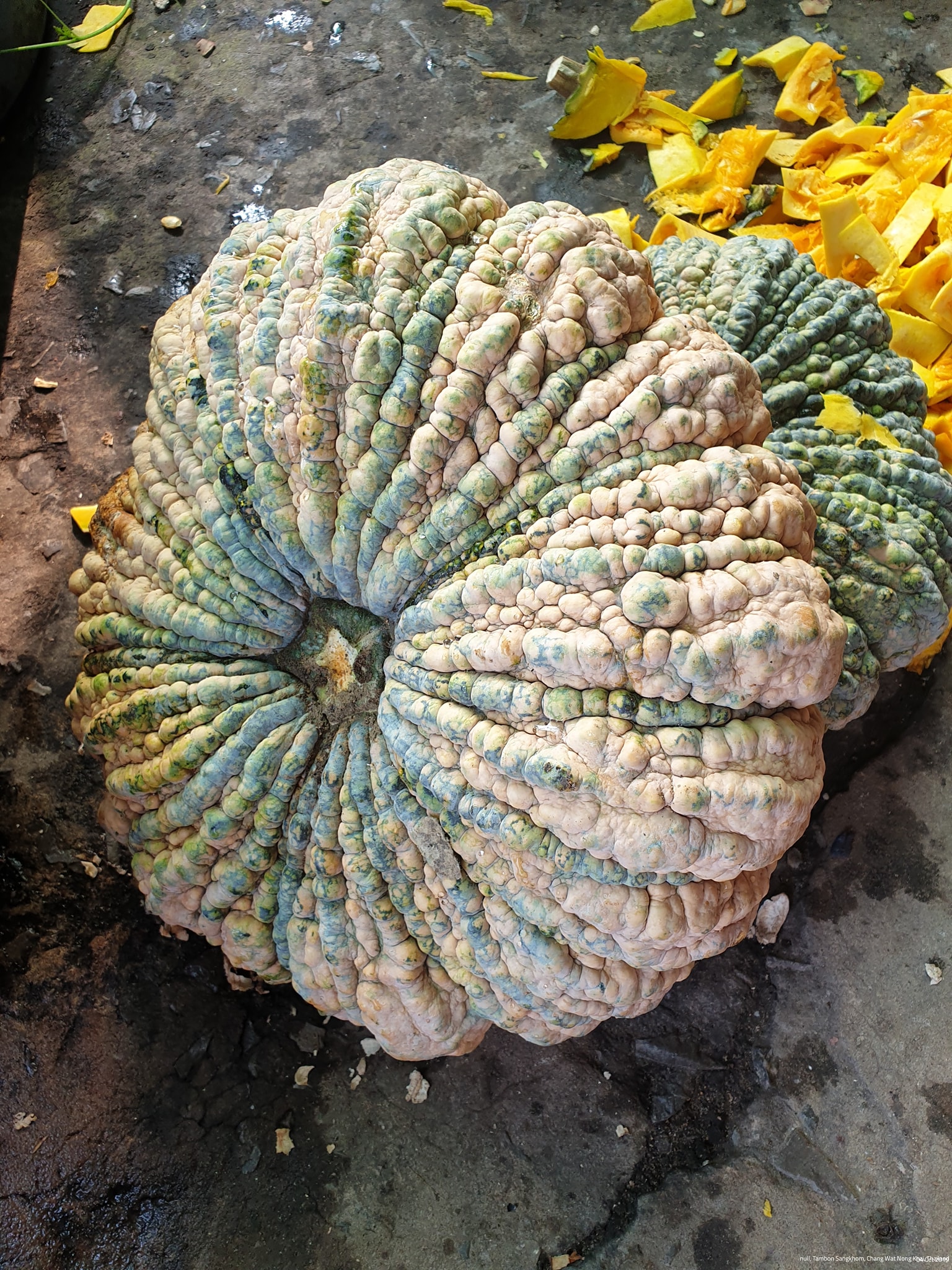 ฟักทอง ทอด อบ กรอบ หวานน้อย 150g.