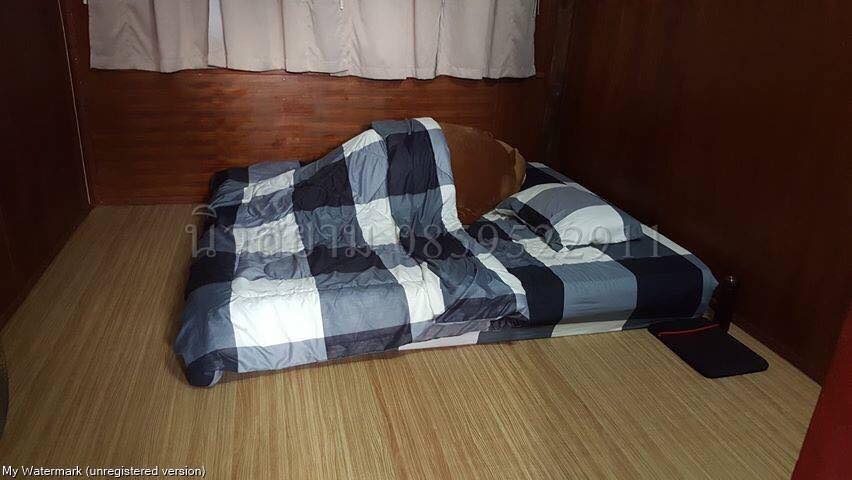 เสื่อน้ำมันลายมาใหม่ 1 ธันวาคม 2567