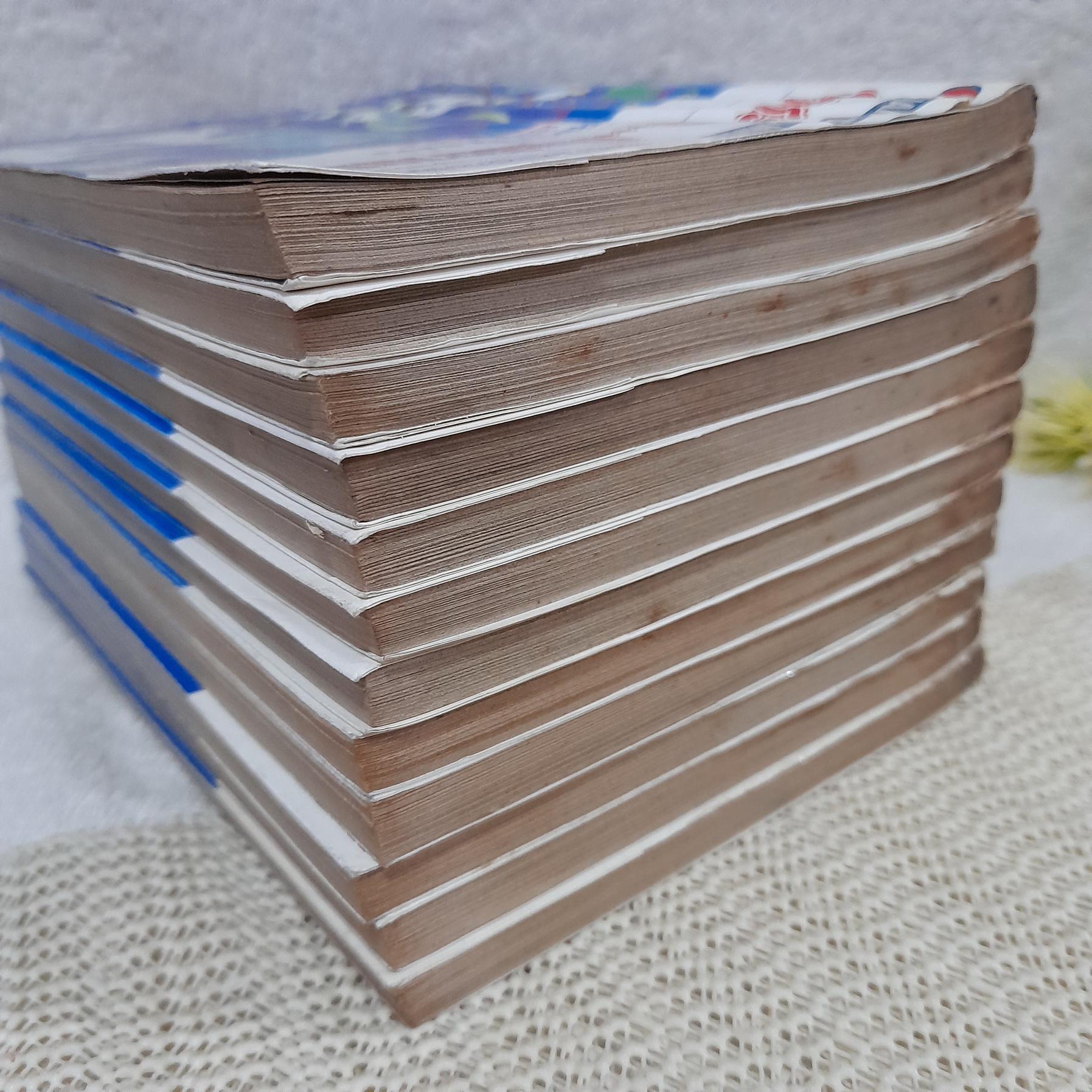 ยุ่งชะมัดเป็นสัตวแพทย์ 1-12 จบ / Noriko Sasaki