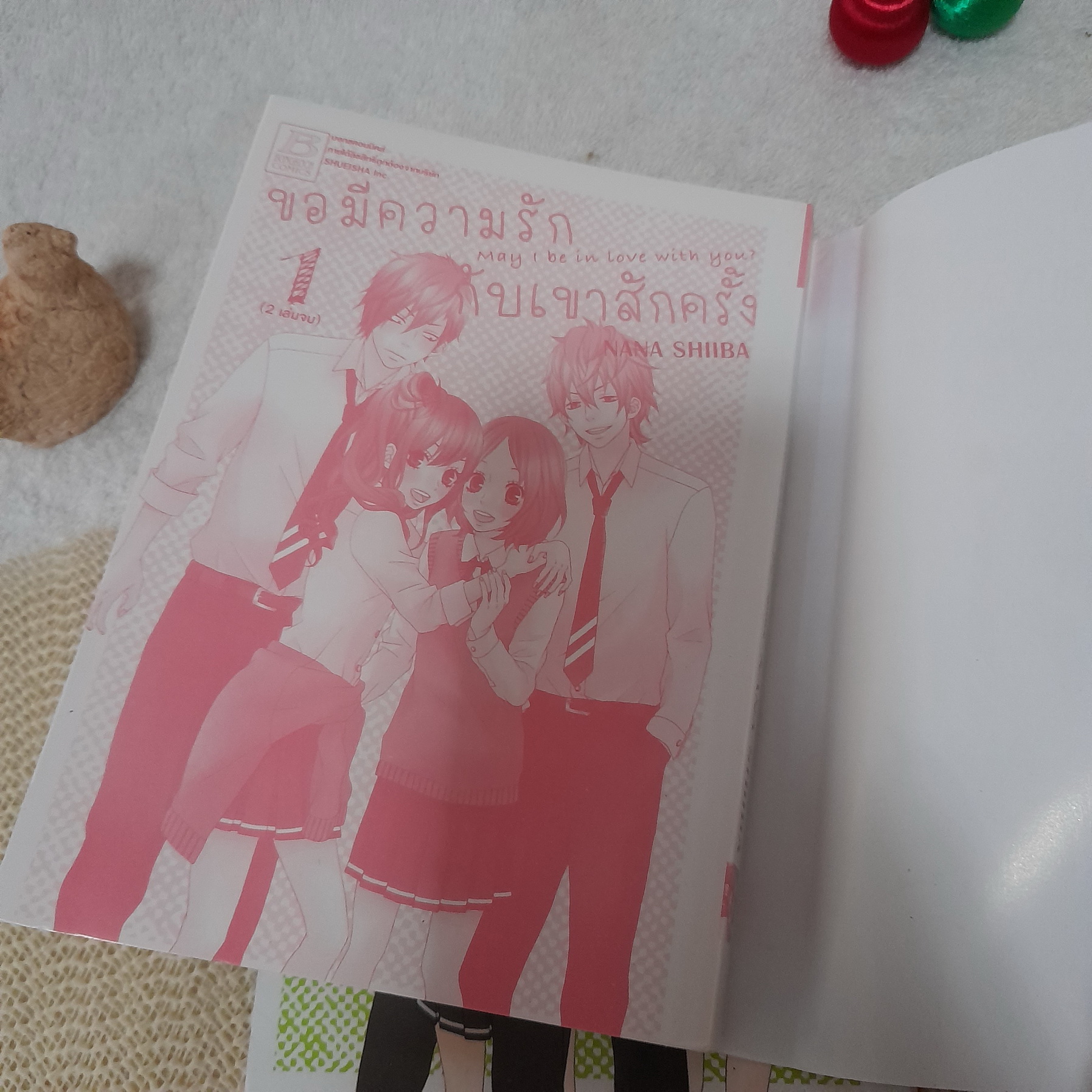 ขอมีความรักกับเขาสักครั้ง 1-2 จบ