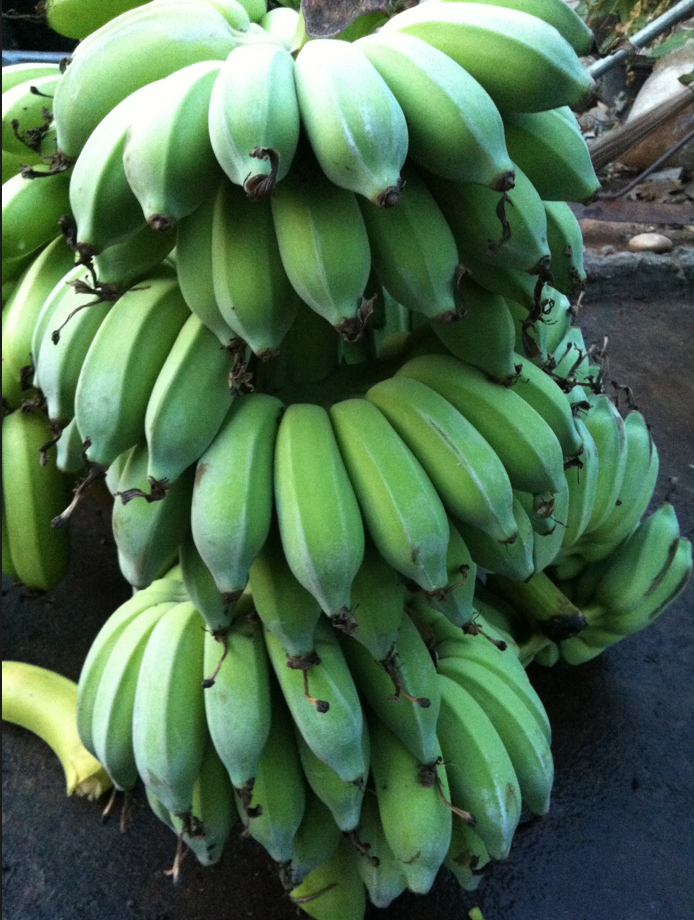 กล้วยสุกทอด เบรกแตก (140g.)