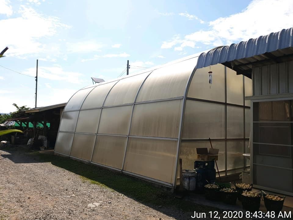 กล้วยน้ำว้าดิบผงวิตามินซีพลัส