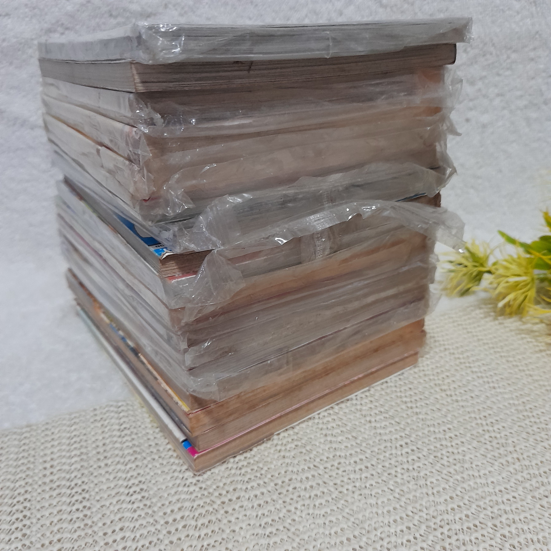 ฮารุกะ 17 เล่ม 1-13,16-19 / * ขาดเล่ม 14,15