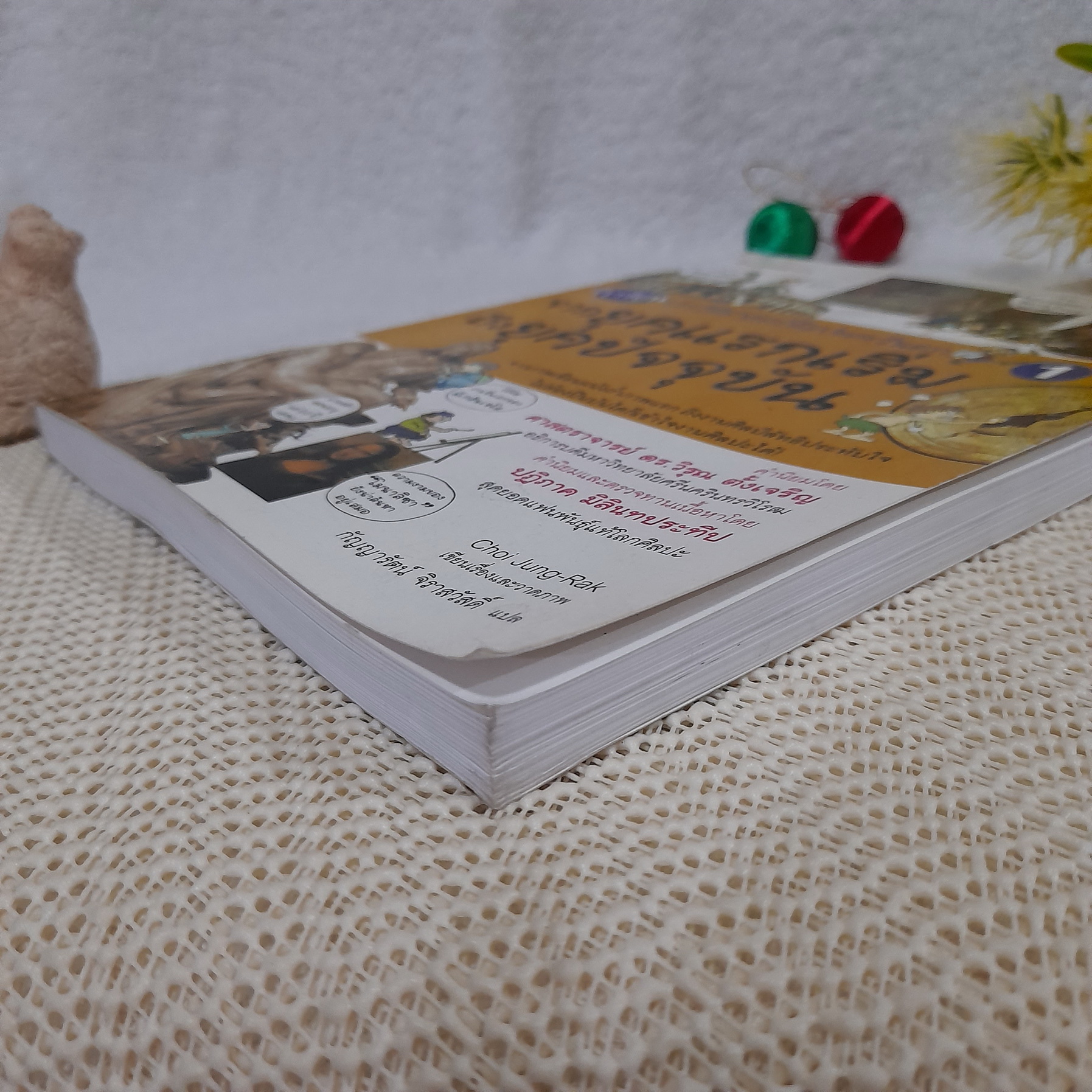 การ์ตูนชุด ประวัติศาสตร์ศิลปะตะวันตก จากยุคแรกเริ่มถึงยุคปัจจุบัน