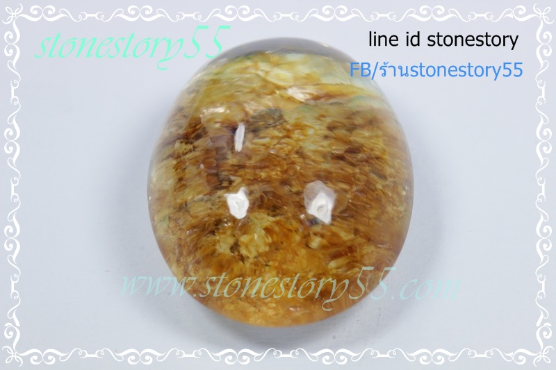 แก้วกาบสวยใสเนียน