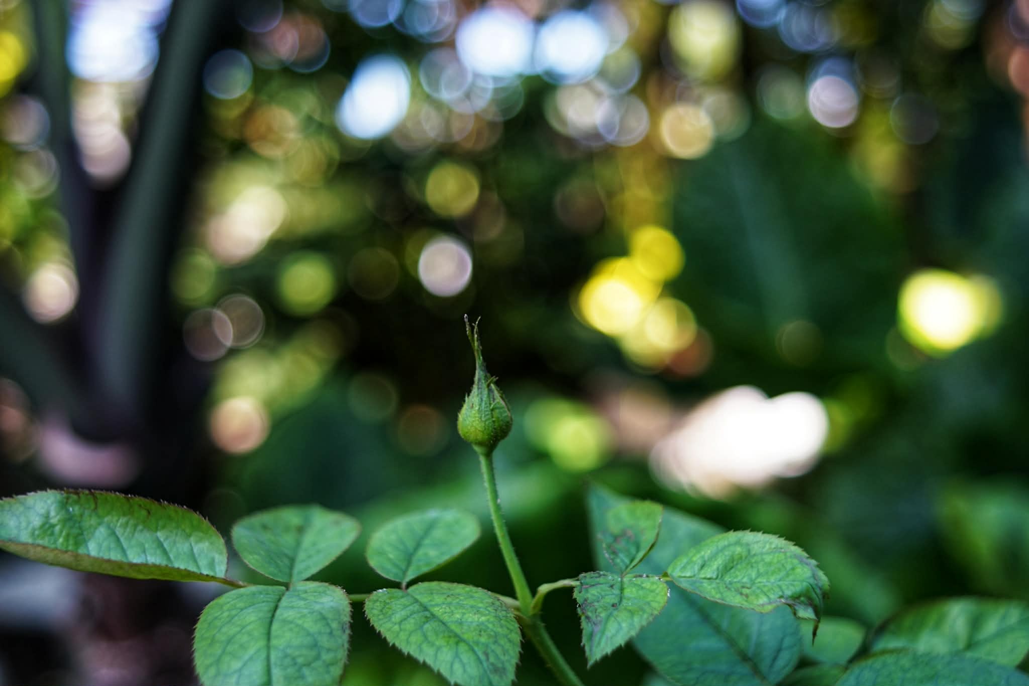 PENTACON PRAKTICAR 28MM.F2.8 MC PB MOUNT