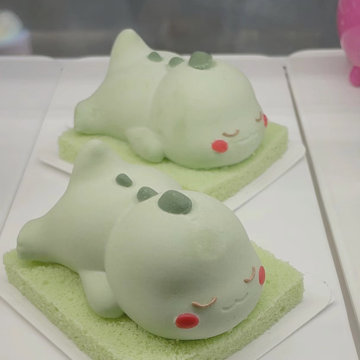 พิมพ์ซิลิโคน ลายไดโนเสาร์