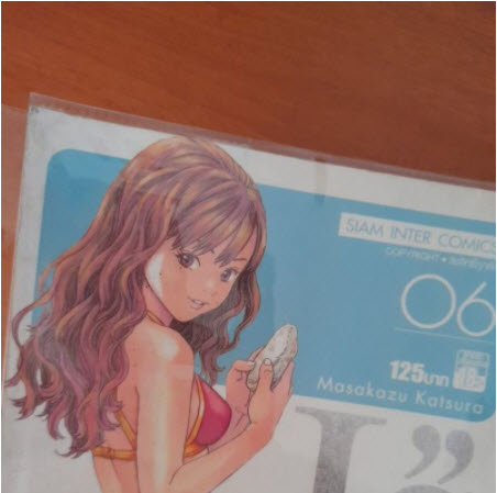 ปกพลาสติกใส ไซส์ 8.0" / ** เหมาะสำหรับ การ์ตูน สนพ.สยามฯ เล่มใหญ่ (Big Book)