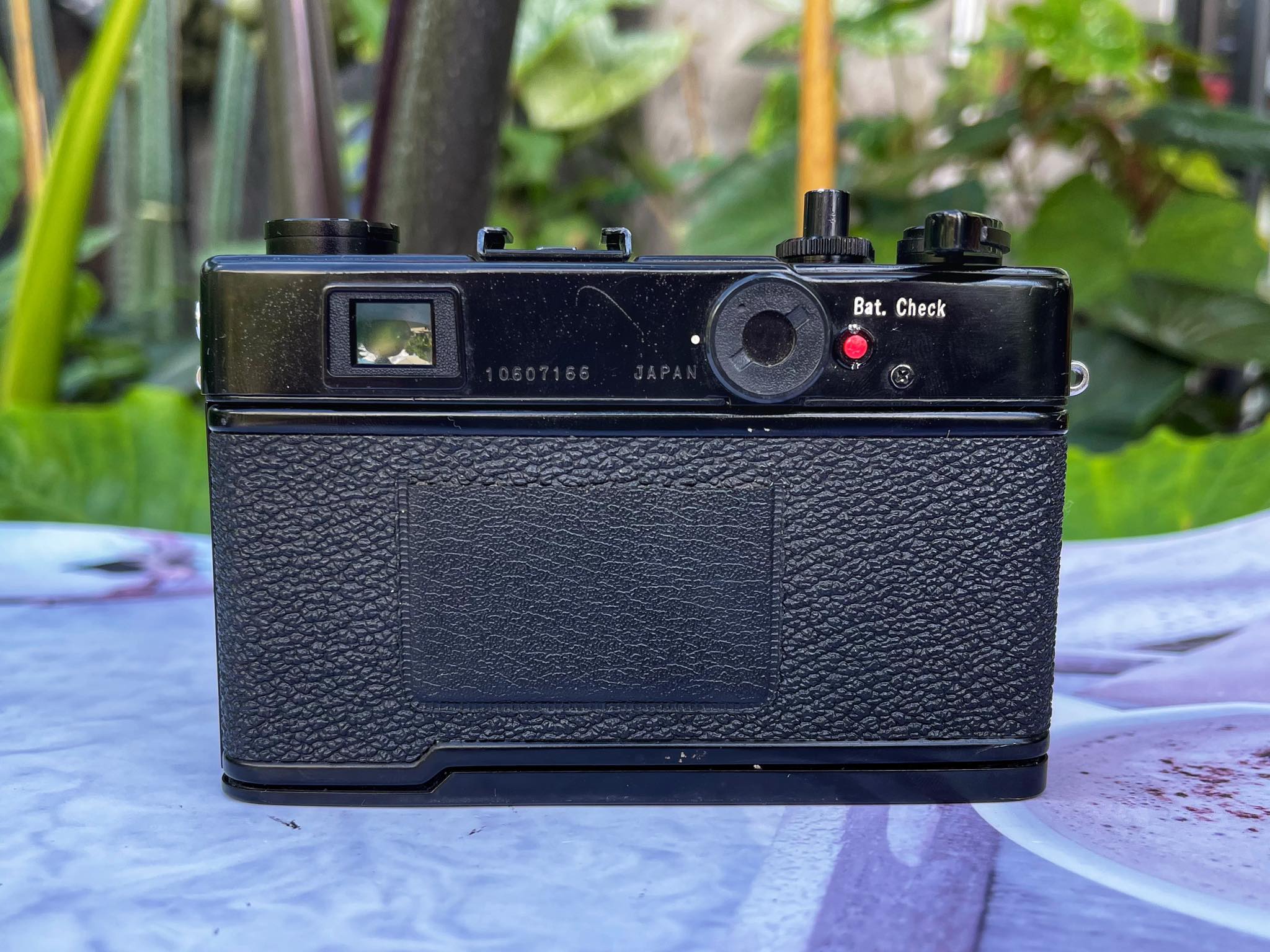 YASHICA ELECTRO35 CC COLOR YASHINON-DX 35MM.F1.8