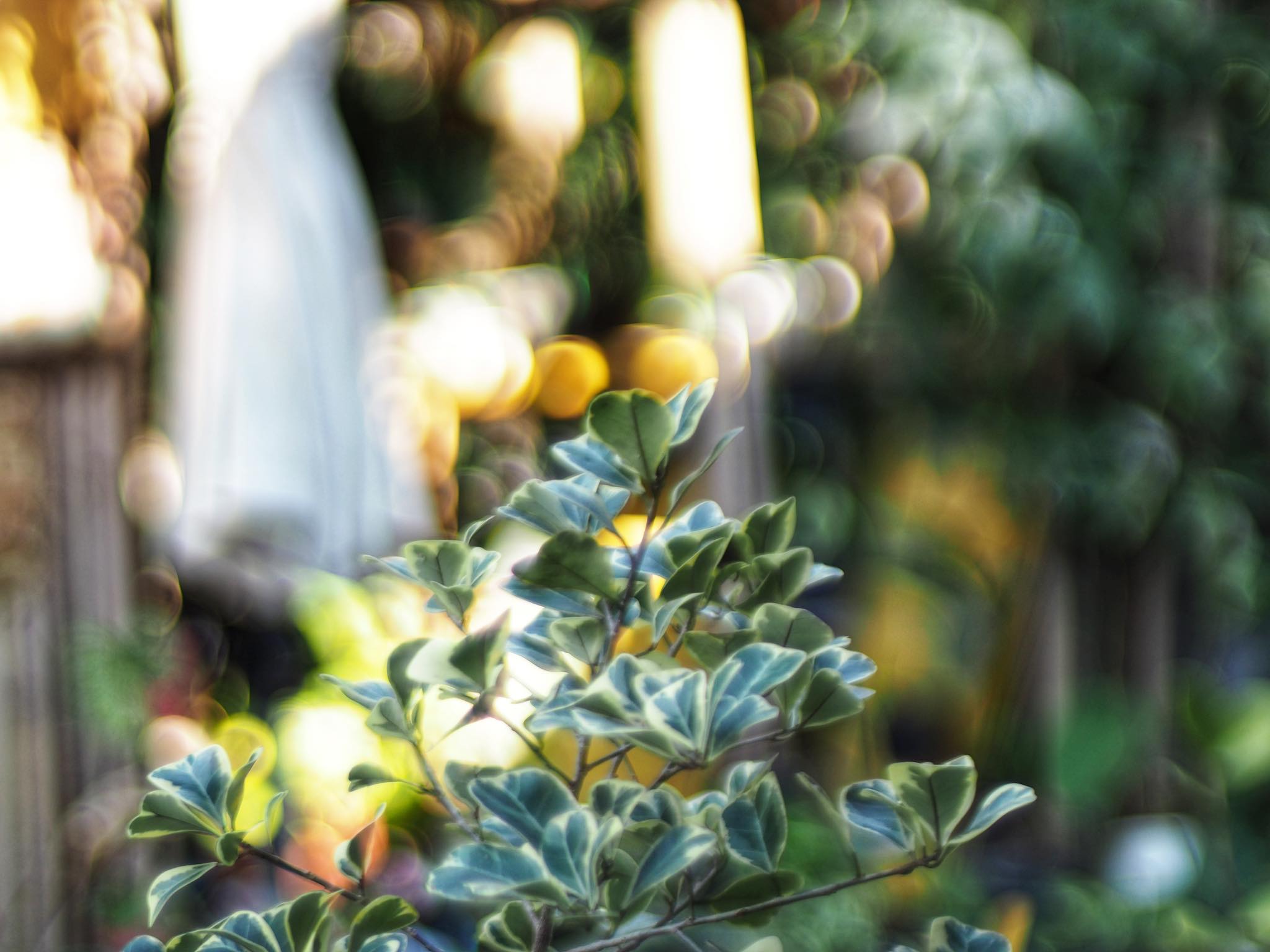 NIKON AF NIKKOR 50MM.F1.4D(NO.13) AIS MOUNT