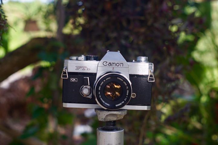 Canon FTB QL Canon Lens FL 50mm. f1.8