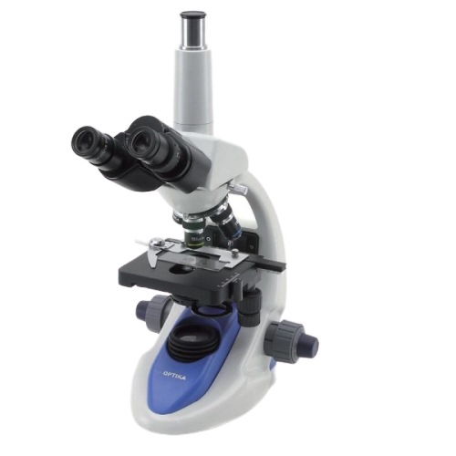 Microscope กล้องจุลทรรศน์