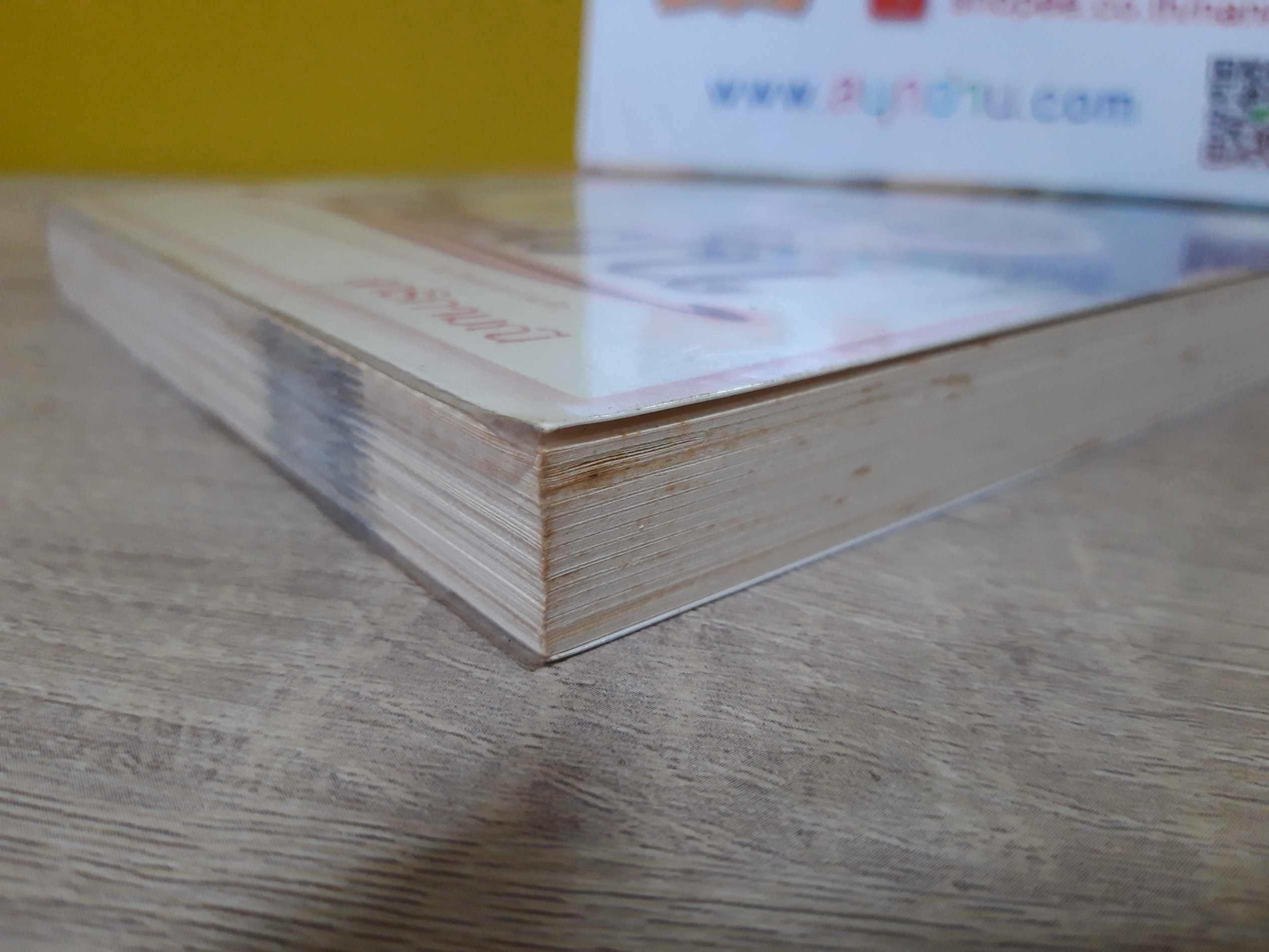 ปีกแห่งฝัน / ดาริกามณี