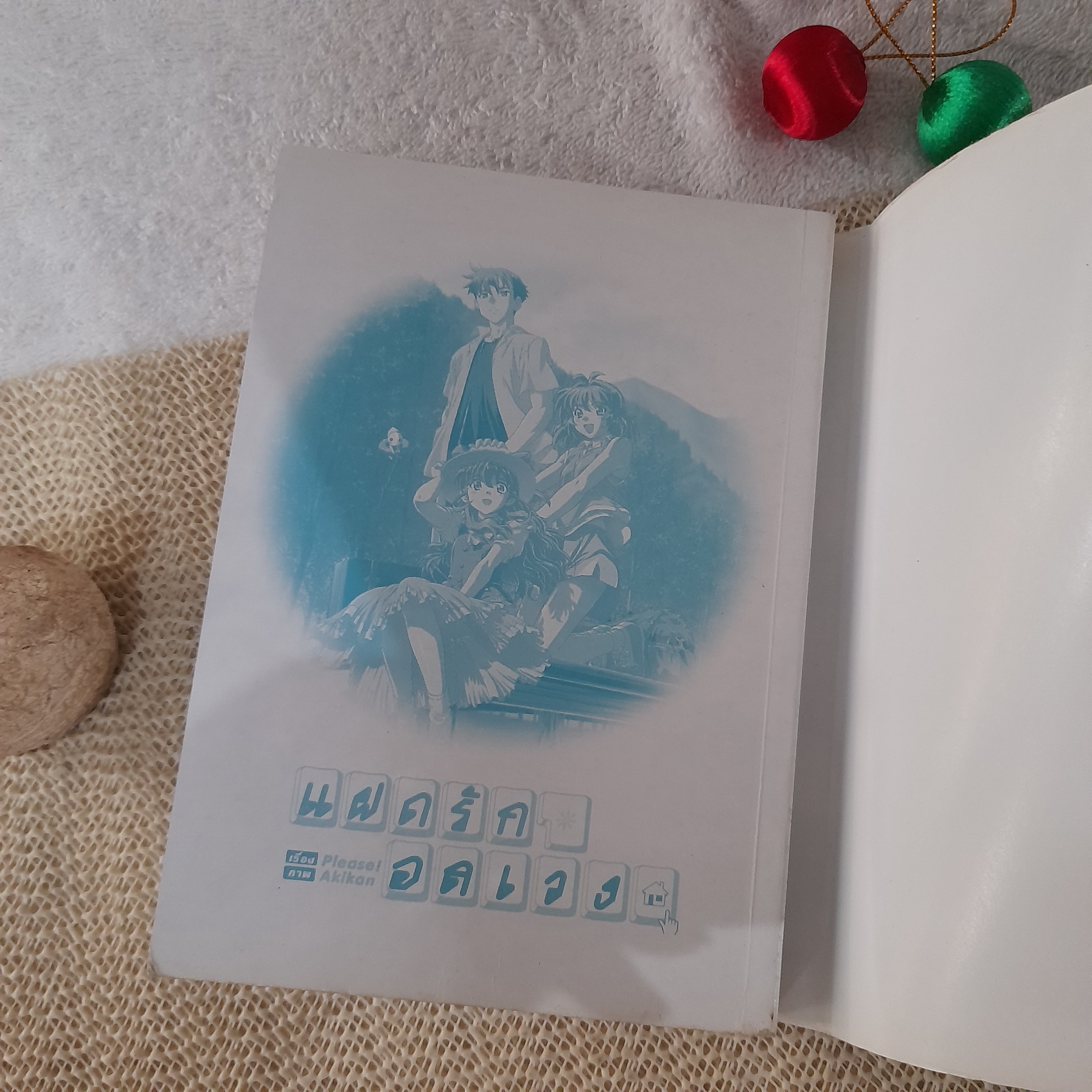 แฝดรักอลเวง