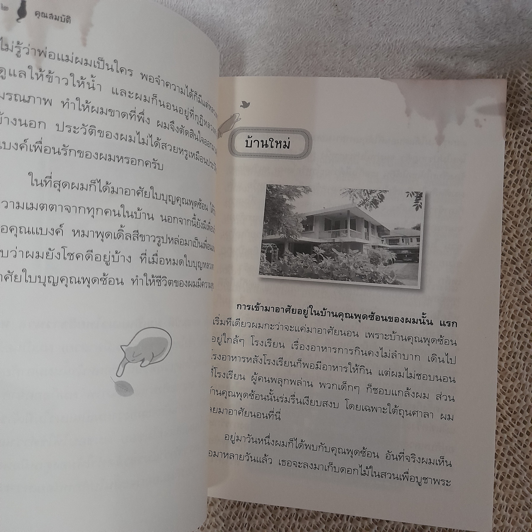 คุณสมบัติ สื่อธรรมะจากอดีตแมวพลัดถิ่น / พุดซ้อน