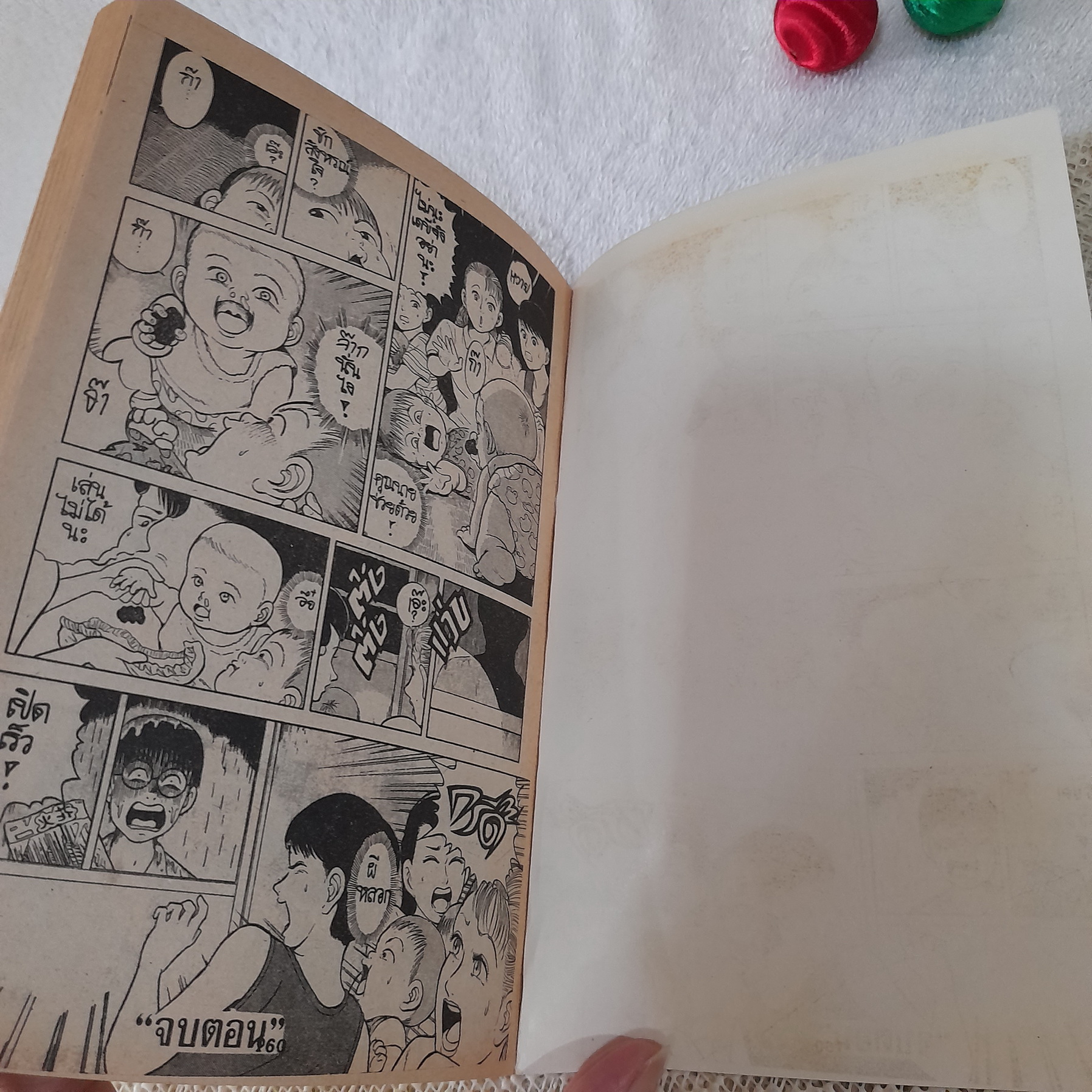 หนูละเบื่อเสือสวมรอย เล่ม 1