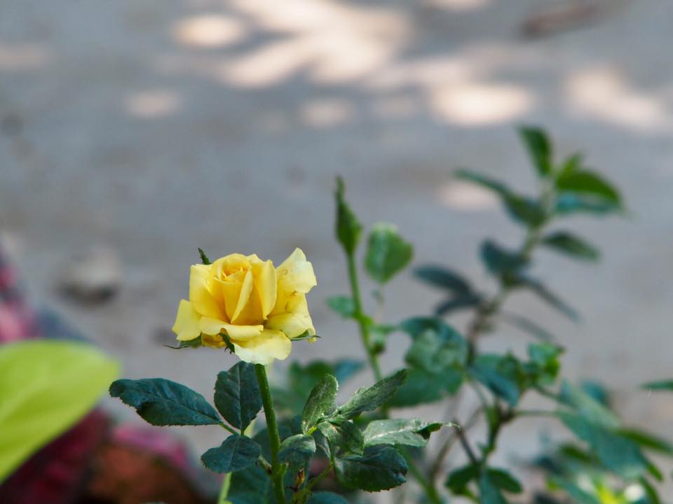 SOLIGOR AUTO-ZOOM 55-135MM. F3.5 MD MOUNT