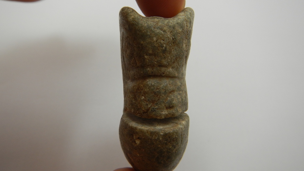 ตัวอ่อนมังกร