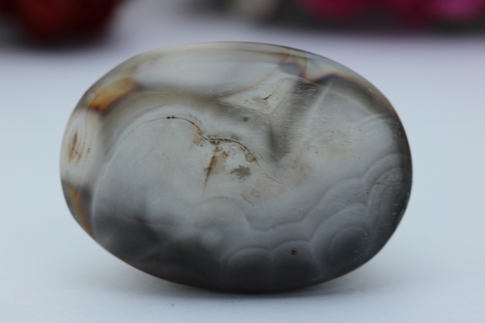 ฟอลซิลหอย