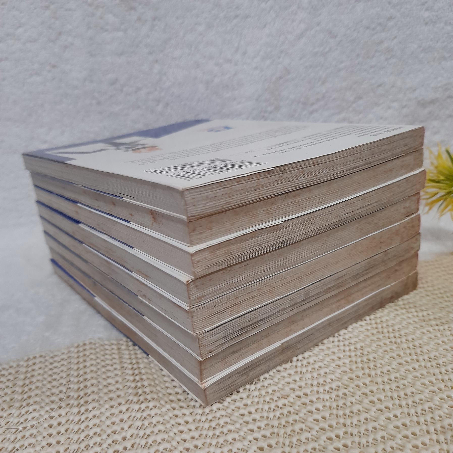 ขอหัวใจเจ้าสาวในฝัน 1-8 ไม่จบ / * ขาดเล่ม 9-14