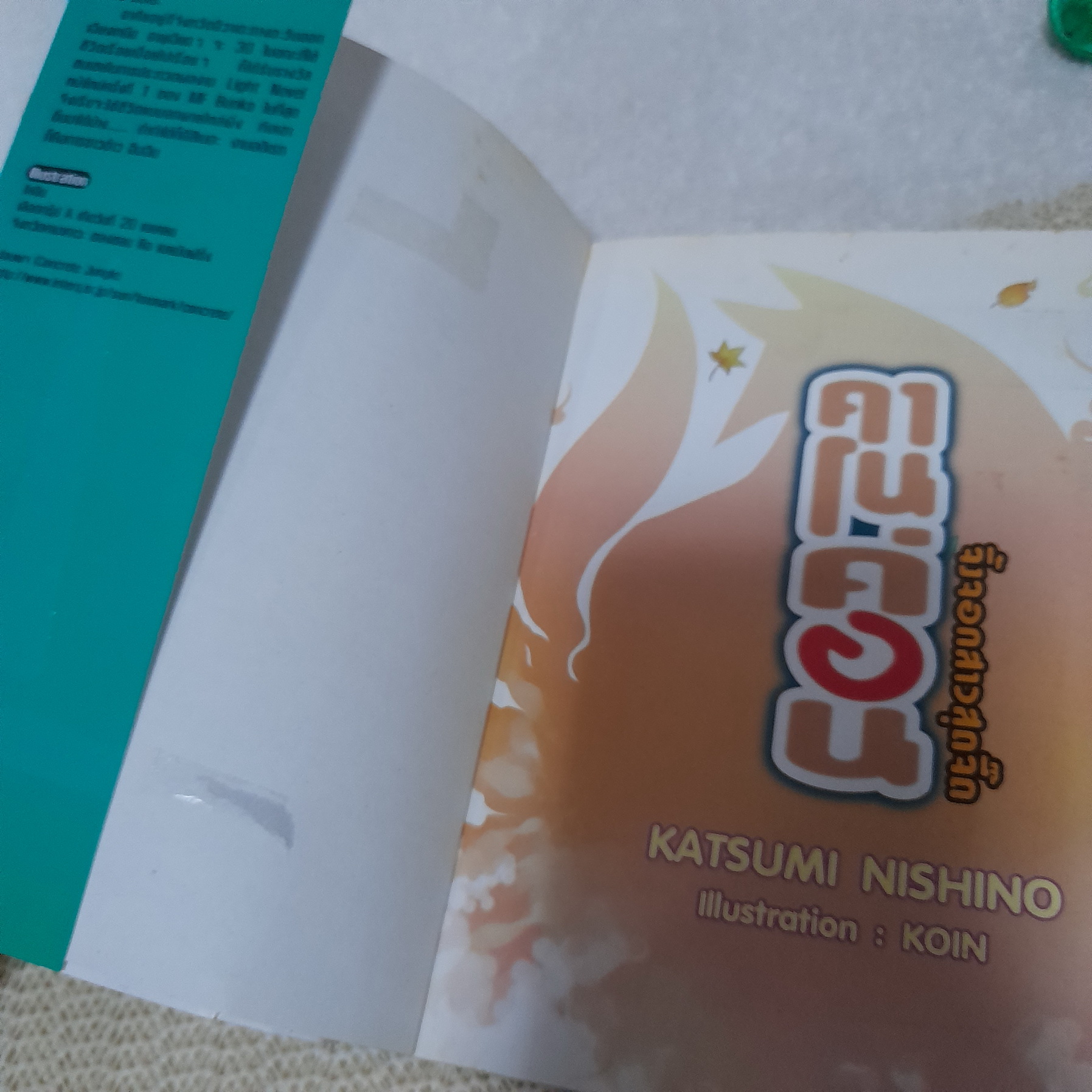 คาโนค่อน จิ้งจิกสาวสุดจี๊ด (นิยาย)