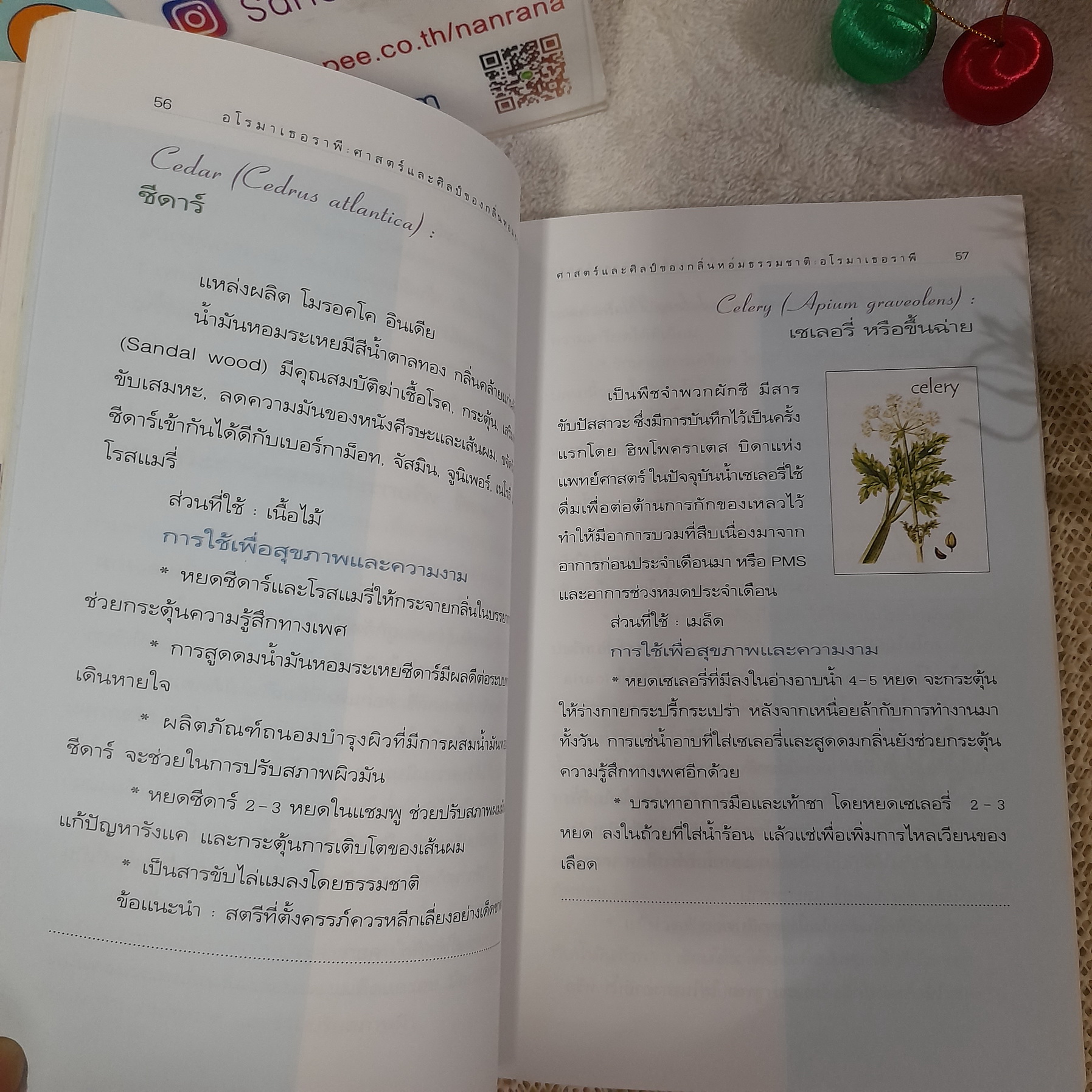 อโรมาเธอราพี / Freeya M.