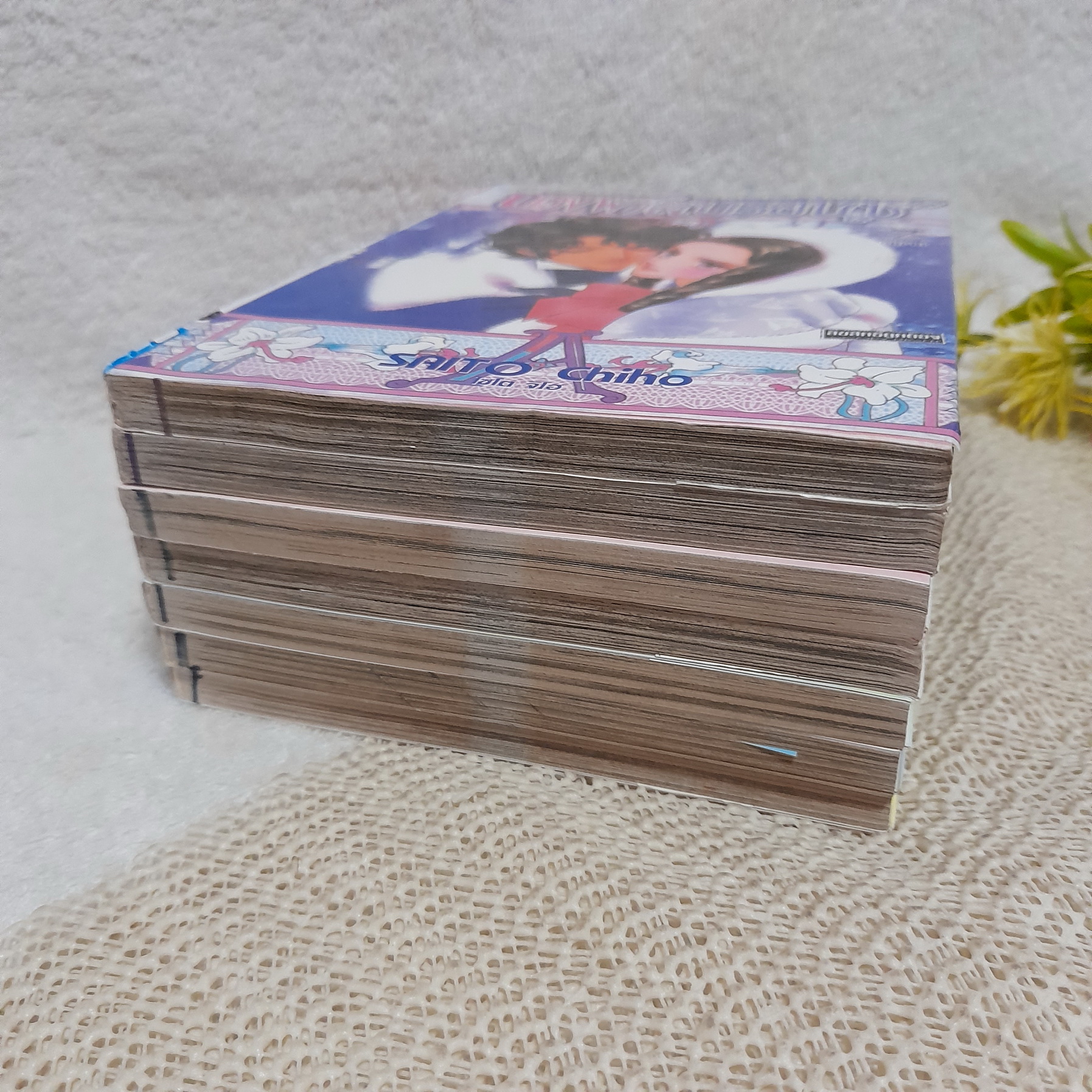 นางฟ้าสีบรอนซ์ 1-7 จบ / Saito Chiho