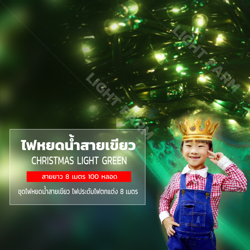 ไฟหยดน้ำสายเขียวสีรวม ไฟประดับตกแต่ง ไฟหยดน้ำสายเขียว