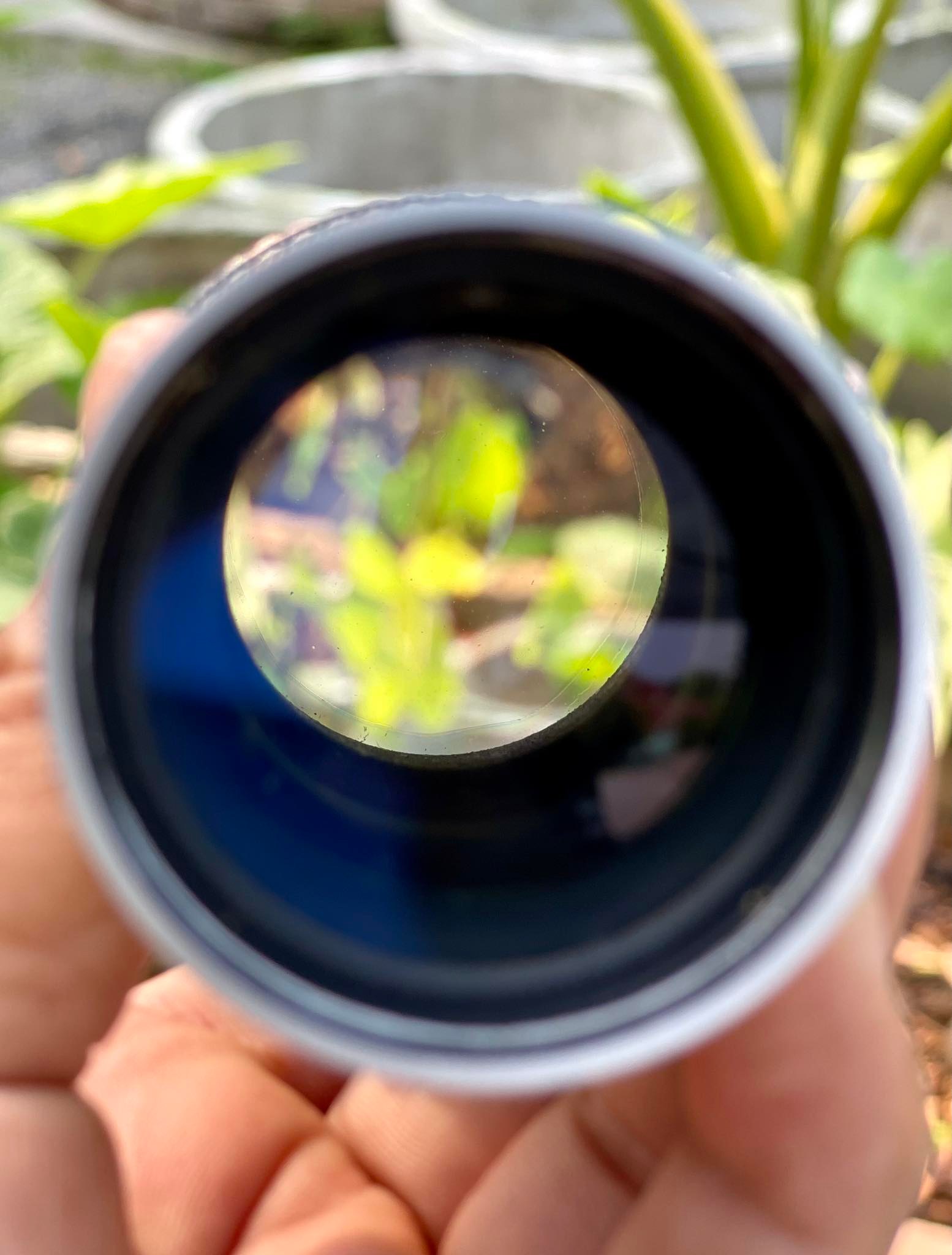 WALLENSAK ROCHESTER U.S.A. 63.5MM.SUNRAY 107 F1.6 FOR SONY E MOUNT