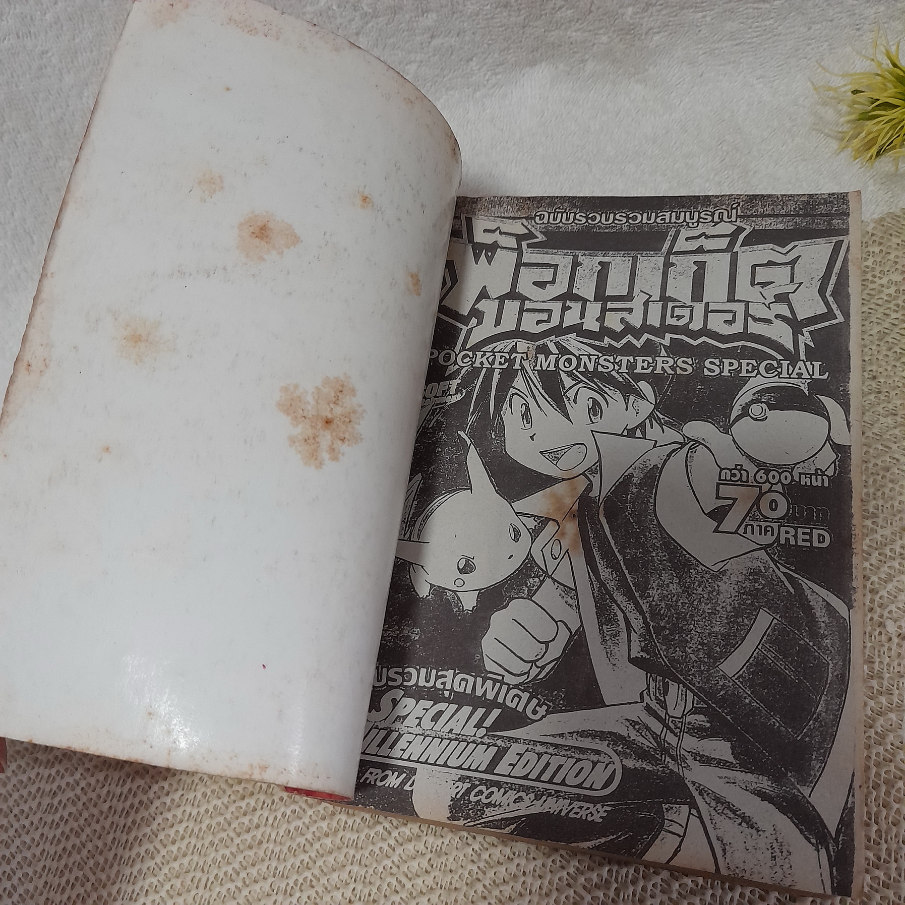 พ็อกเก็ต มอนสเตอร์ Pocket Monster Special ภาค Red