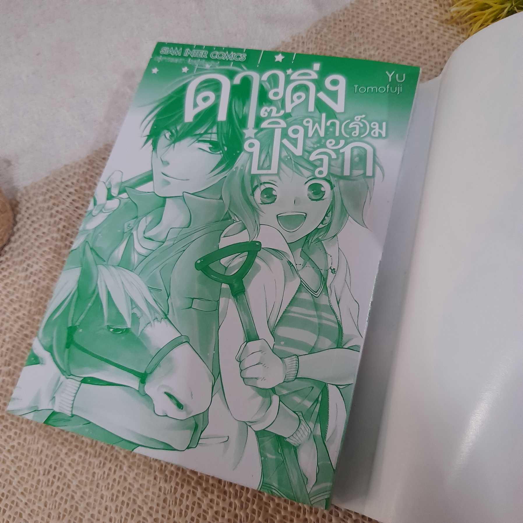 ดาวดิ่งปิ๊งฟา(ร์)มรัก