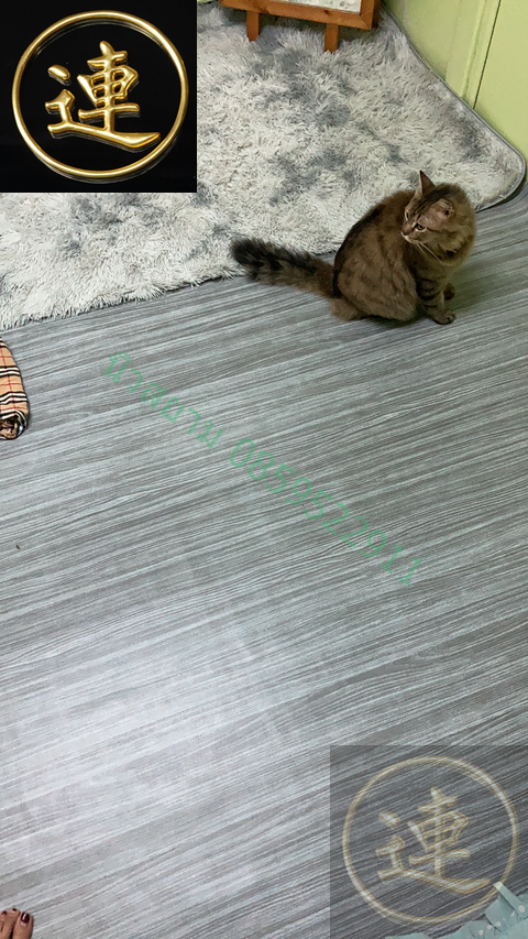 ลายเสื่อน้ำมันมาใหม่ วันที่ 24 ตุลาคม 2564