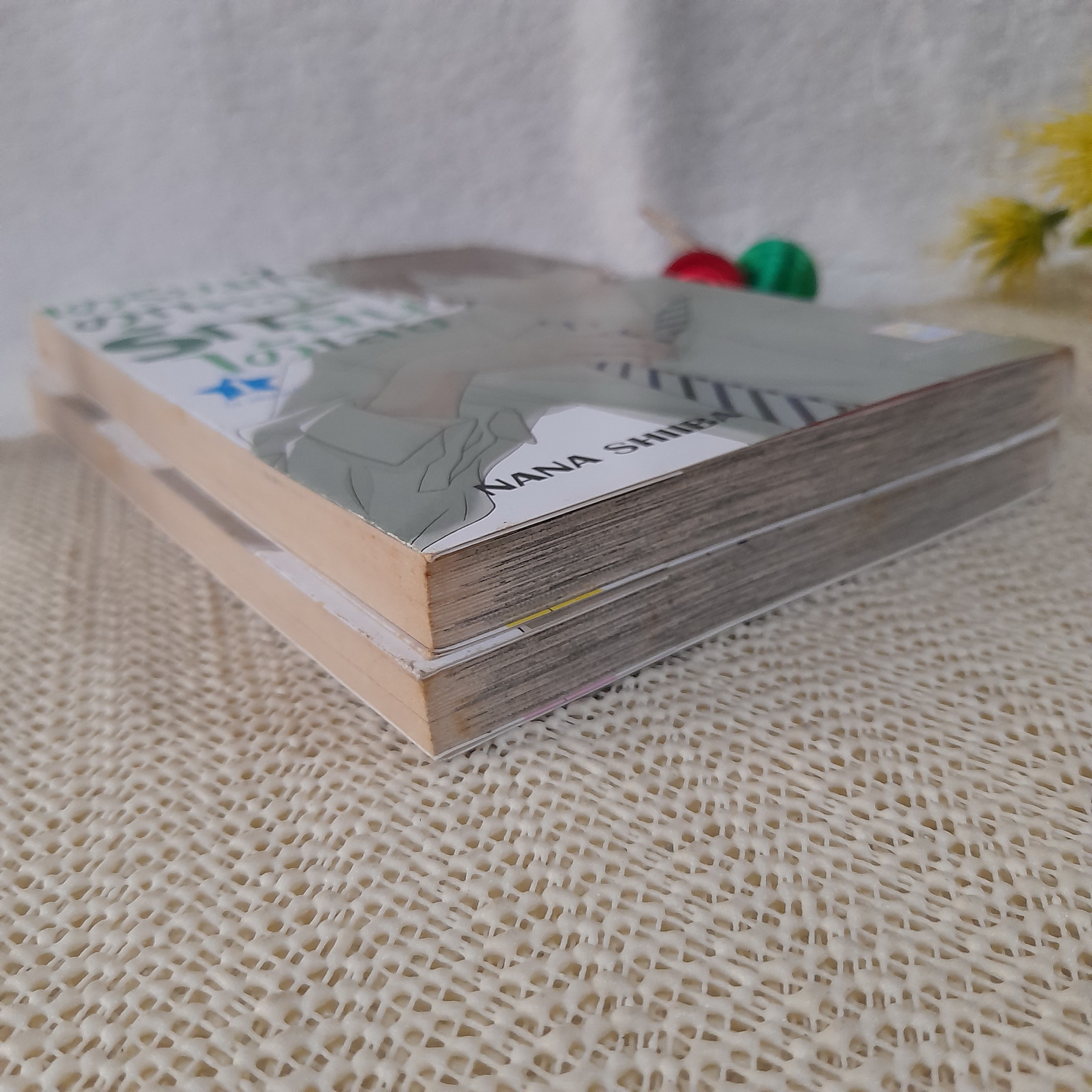 เตรียมใจตกหลุมรักฉันได้เลย 1-2 จบ