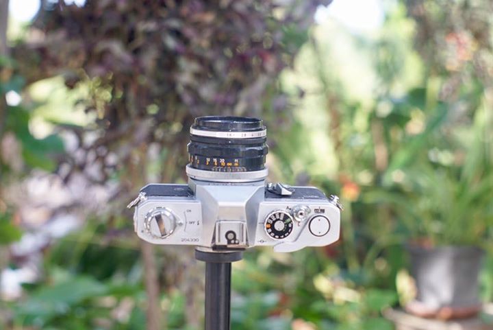 Canon FTB QL Canon Lens FL 50mm. f1.8