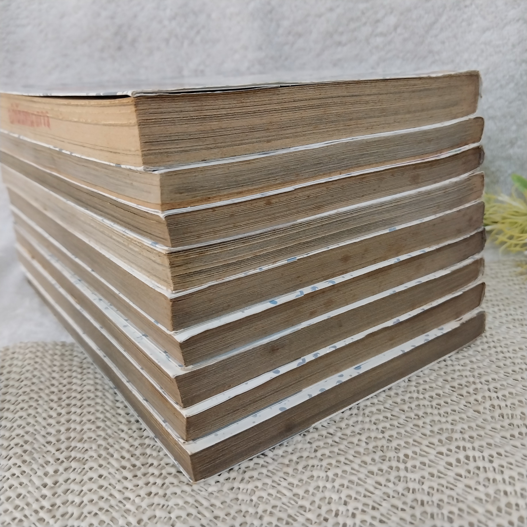 Sanctuary สุภาพบุรุษทรชน 1-8,11 ไม่จบ /* ขาดเล่ม 9,10,12