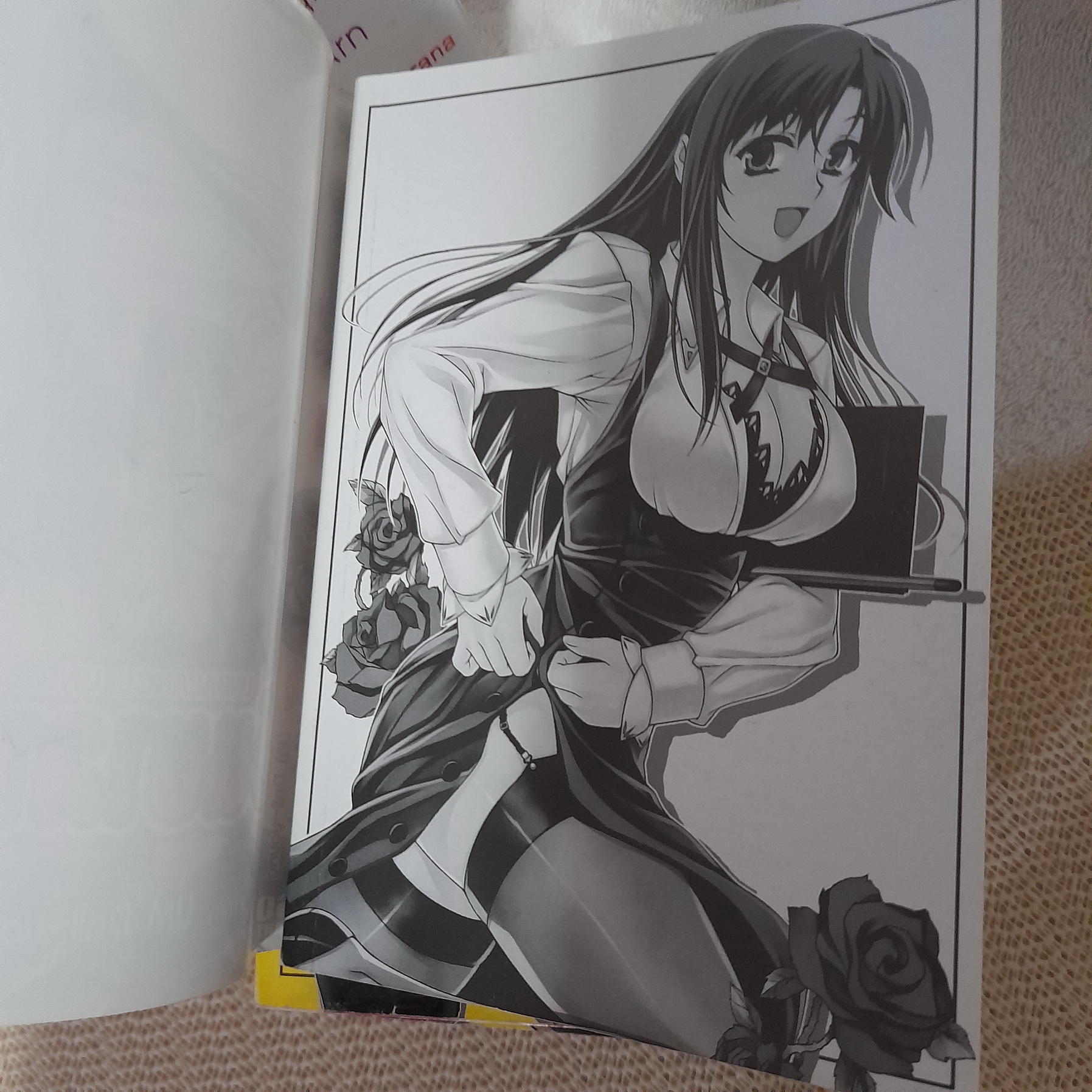 อันบาลานซ์ x2 1-9 ไม่จบ / * ขาดเล่ม 5,10