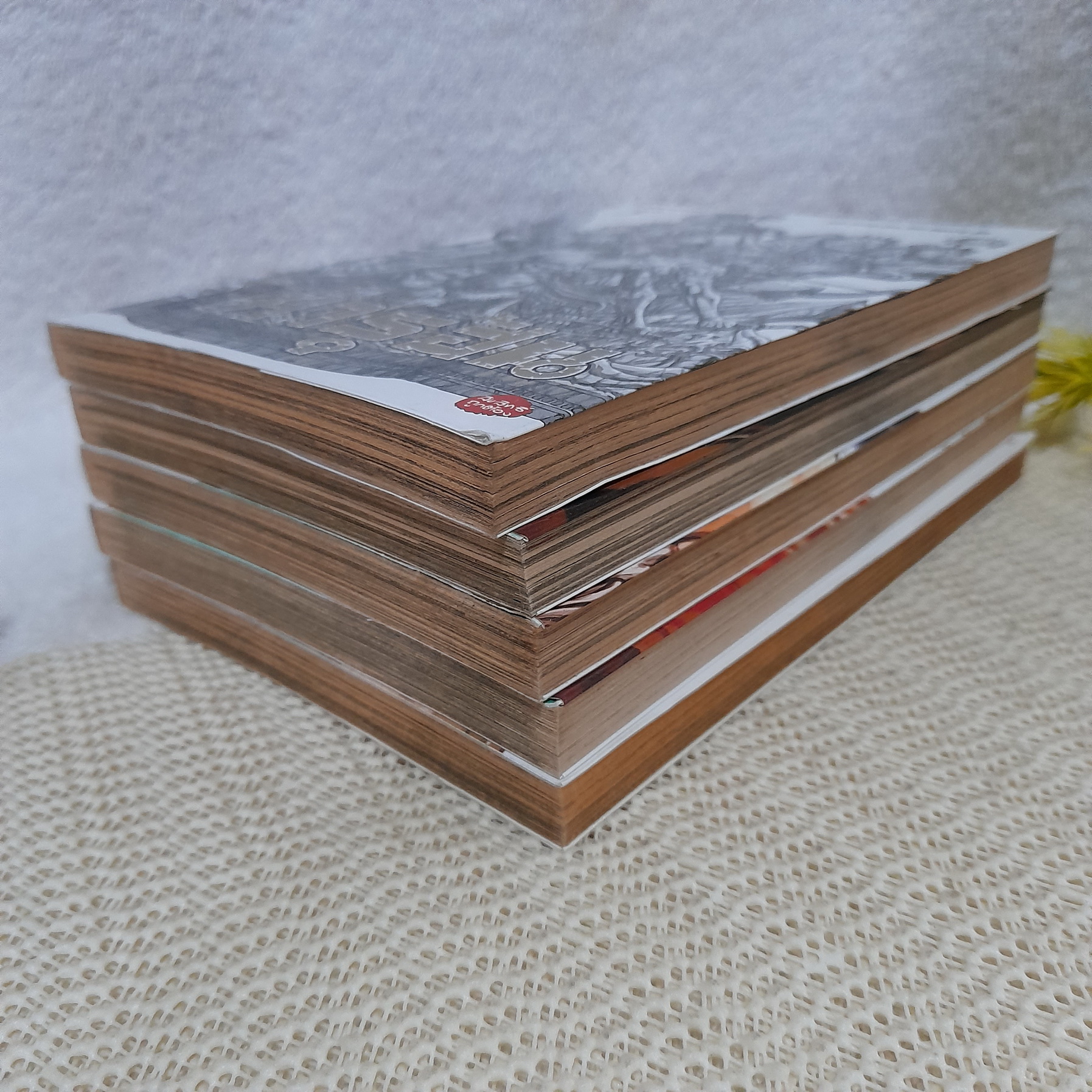 นักสู้สายพันธุ์ดุ มารุฮัน 1-5 ไม่จบ (ออกมาถึงเล่ม 8 )