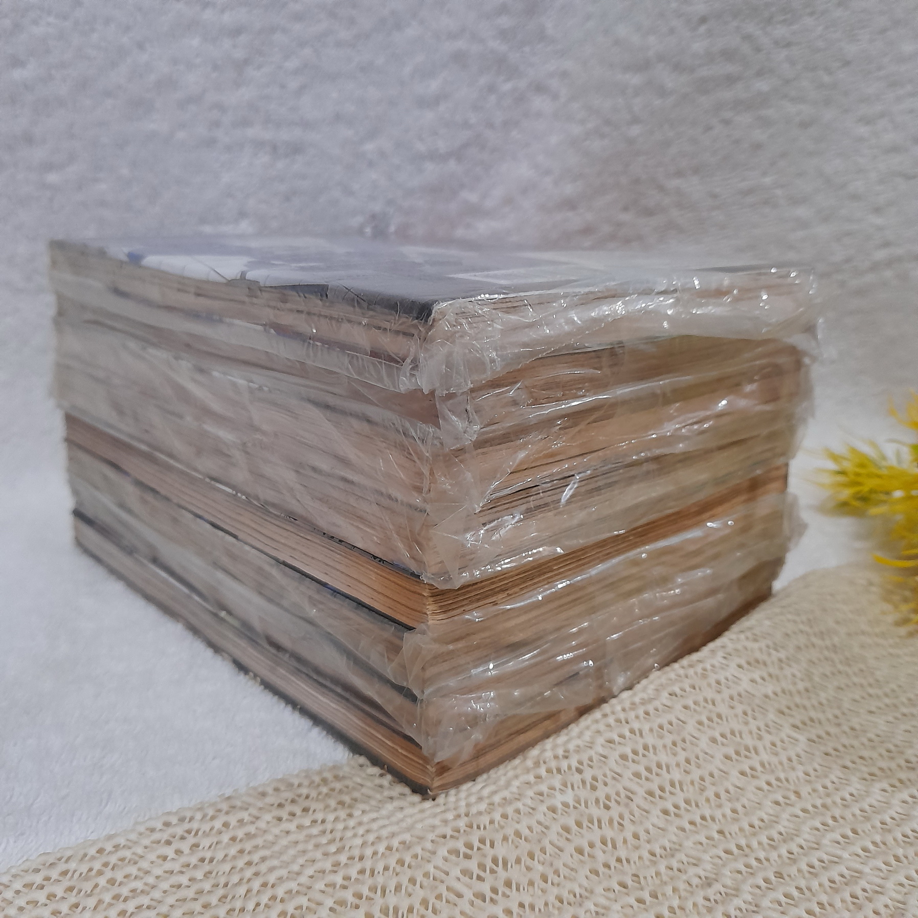 หุ่นรบอวกาศกันดั้ม MSV-R การกลับมาของจอห์นนี่ ไรเด็น 1-8 (ออกมาเท่านี้)