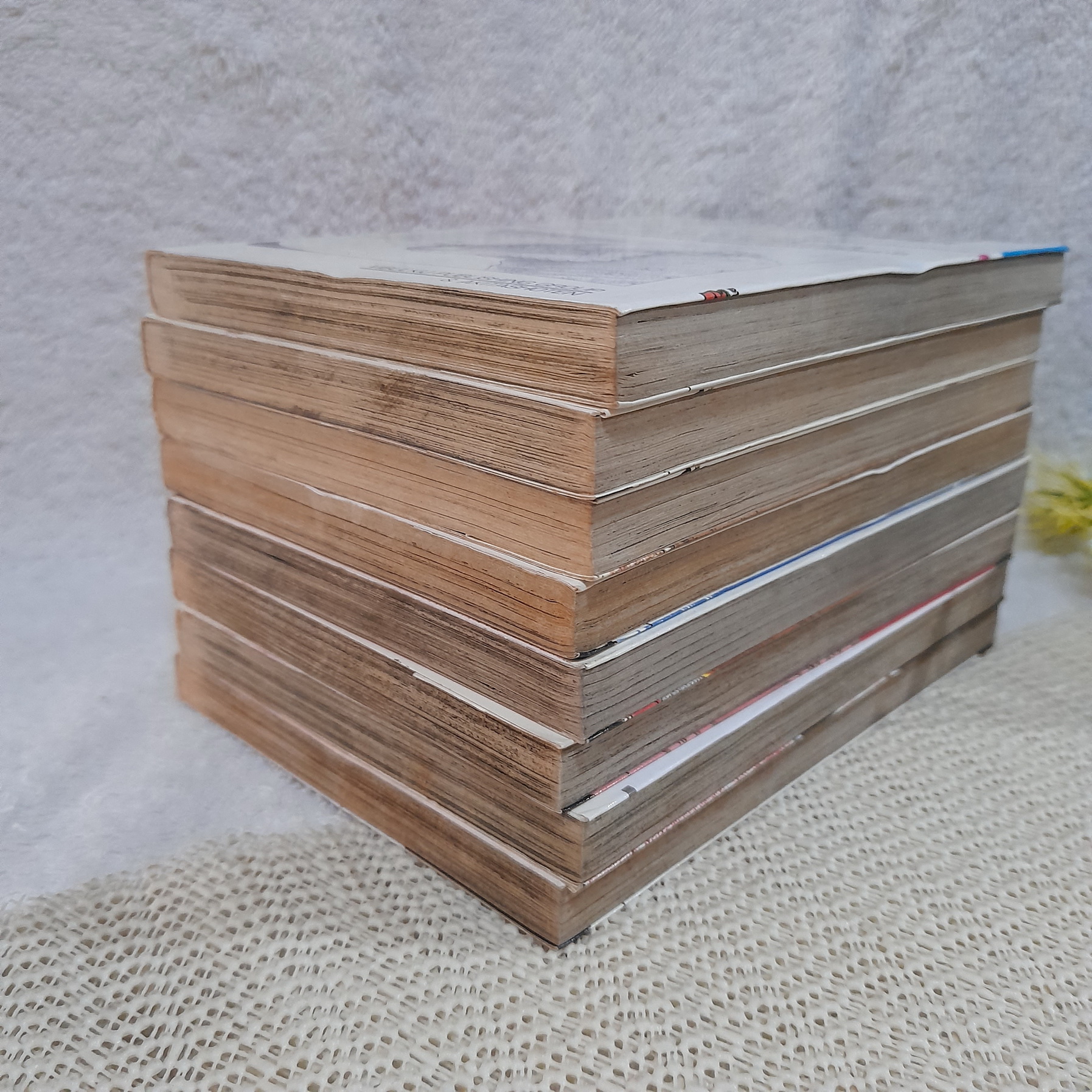 อาณาจักรไดโนเสาร์ จ้าวนักสู้ยูตะ 1-8 จบ