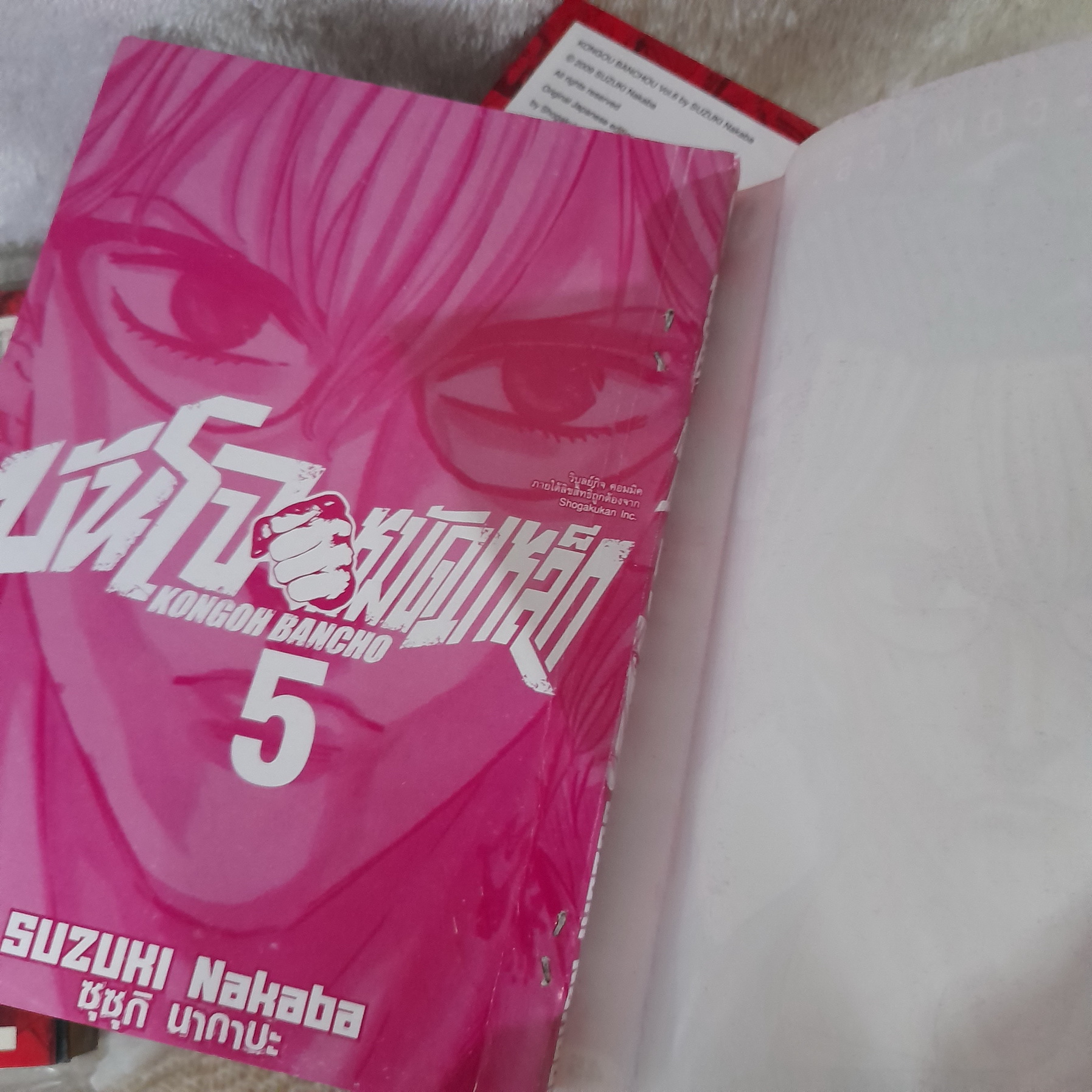 บันโจ หมัดเหล็ก 1-12 จบ