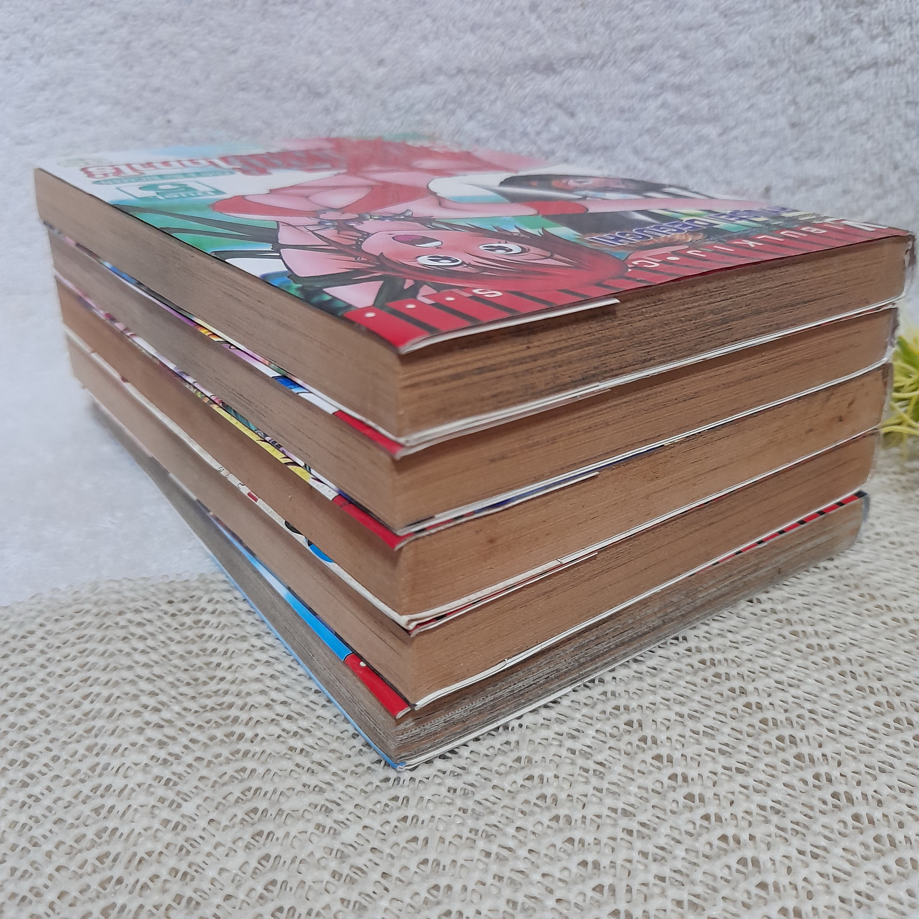 คุณชายผู้ยิ่งใหญ่ไดทาโร่ 1-5 ไม่จบ / * ขาดเล่ม 6