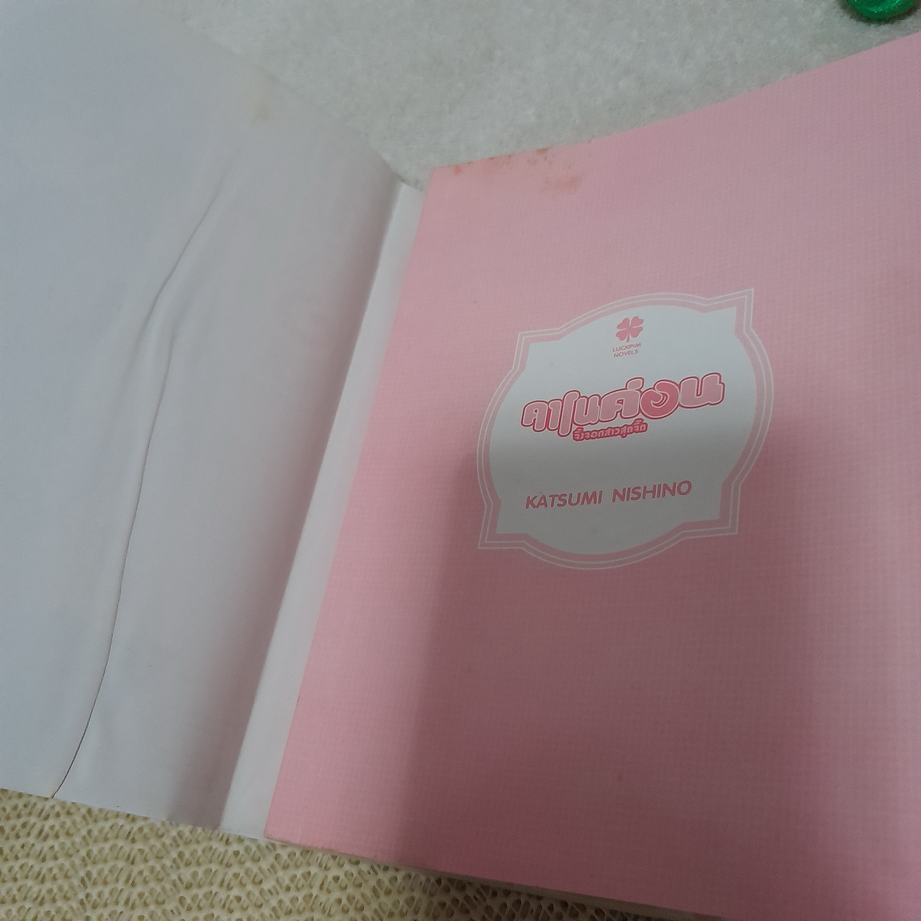 คาโนค่อน จิ้งจิกสาวสุดจี๊ด (นิยาย)