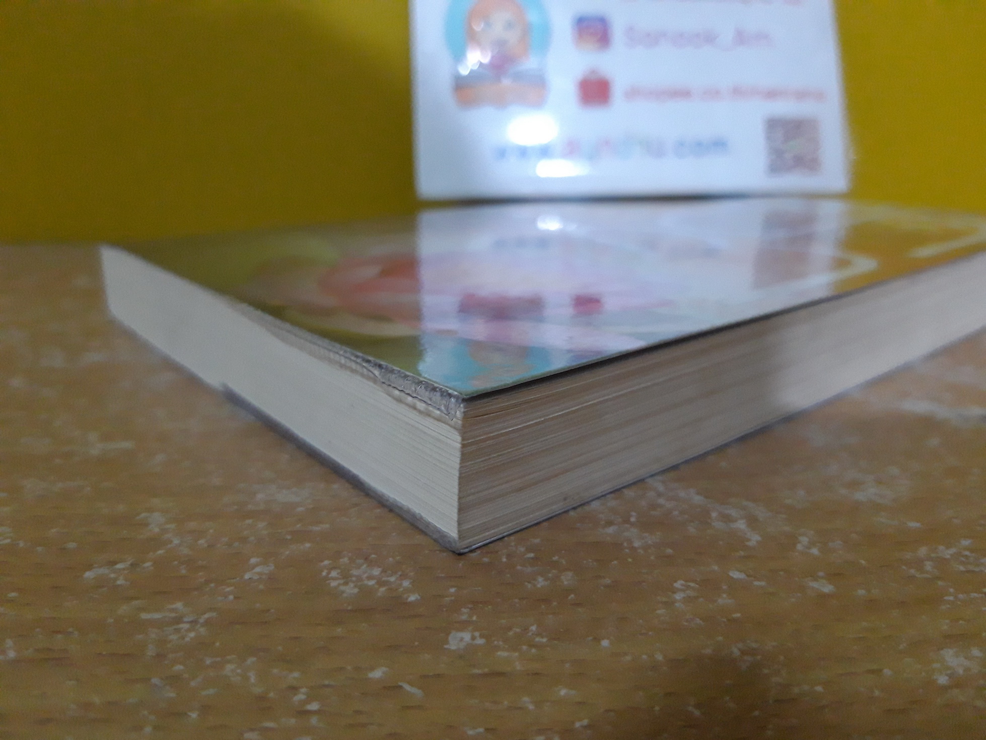 เจ้านาง / ณารา
