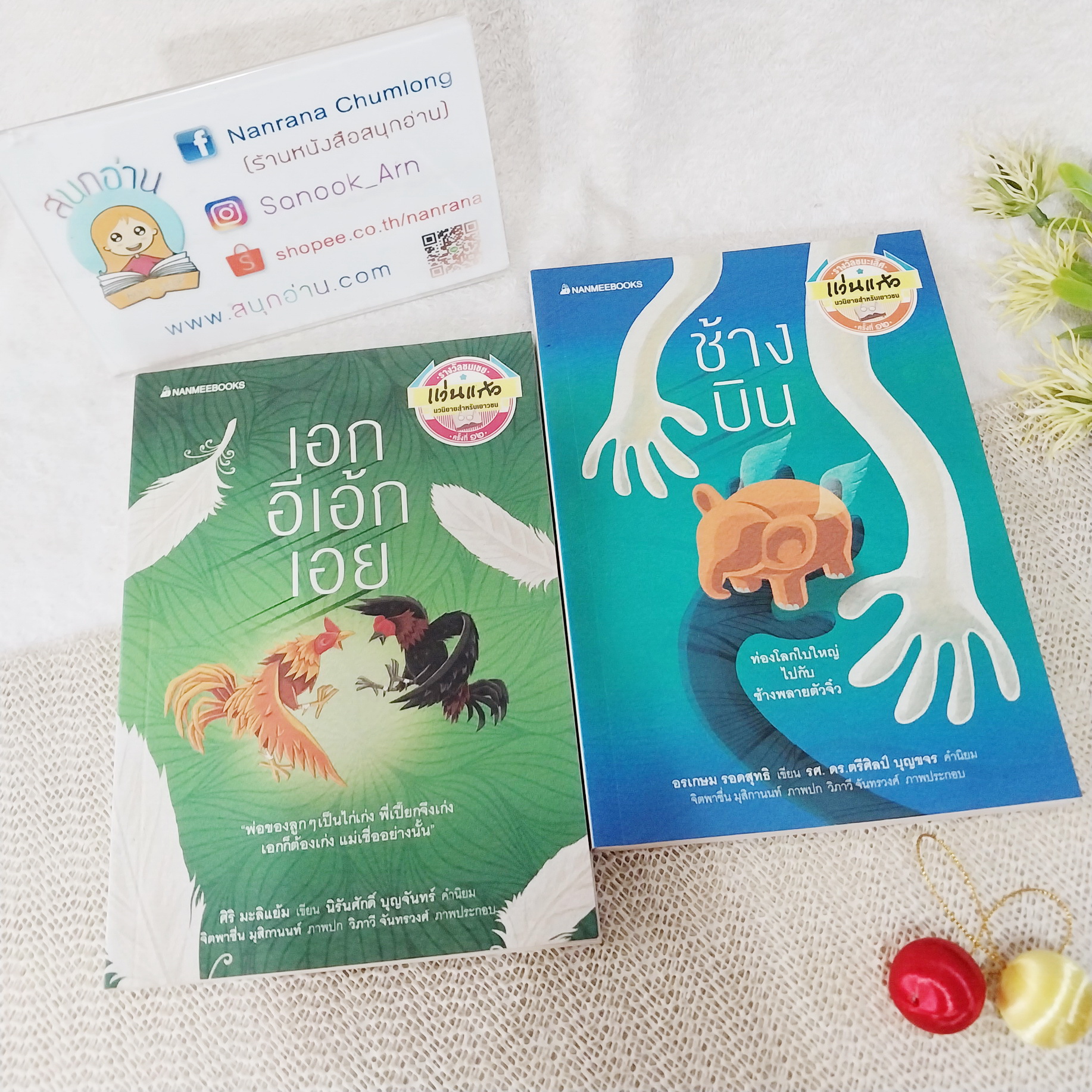วรรณกรรมเยาวชน แว่นแก้ว : เอกอีเอ้กเอย / ช้างบิน (ขายแยกเล่ม)