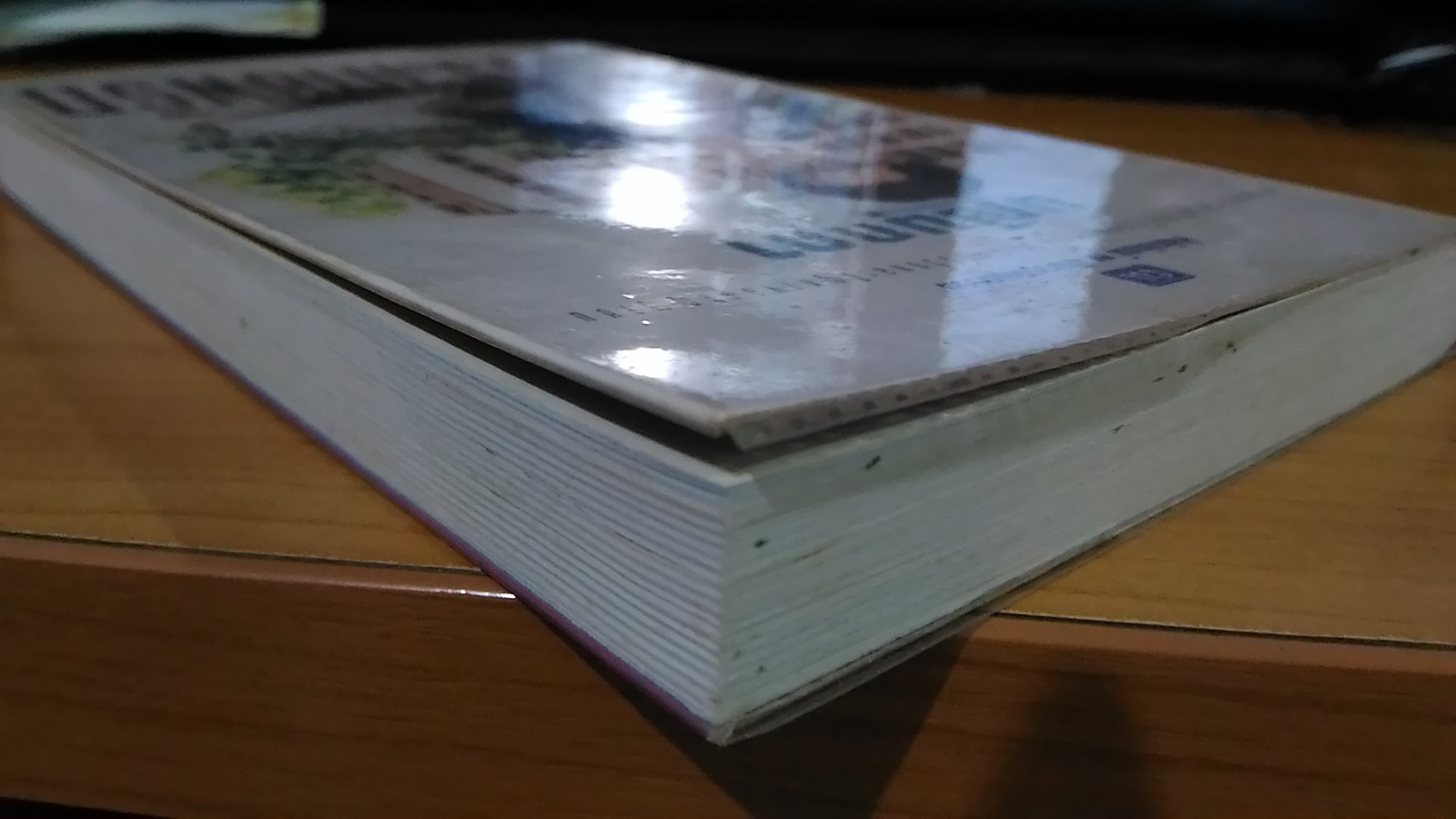 กิ่งประกายพรึก / มณีมุกดา