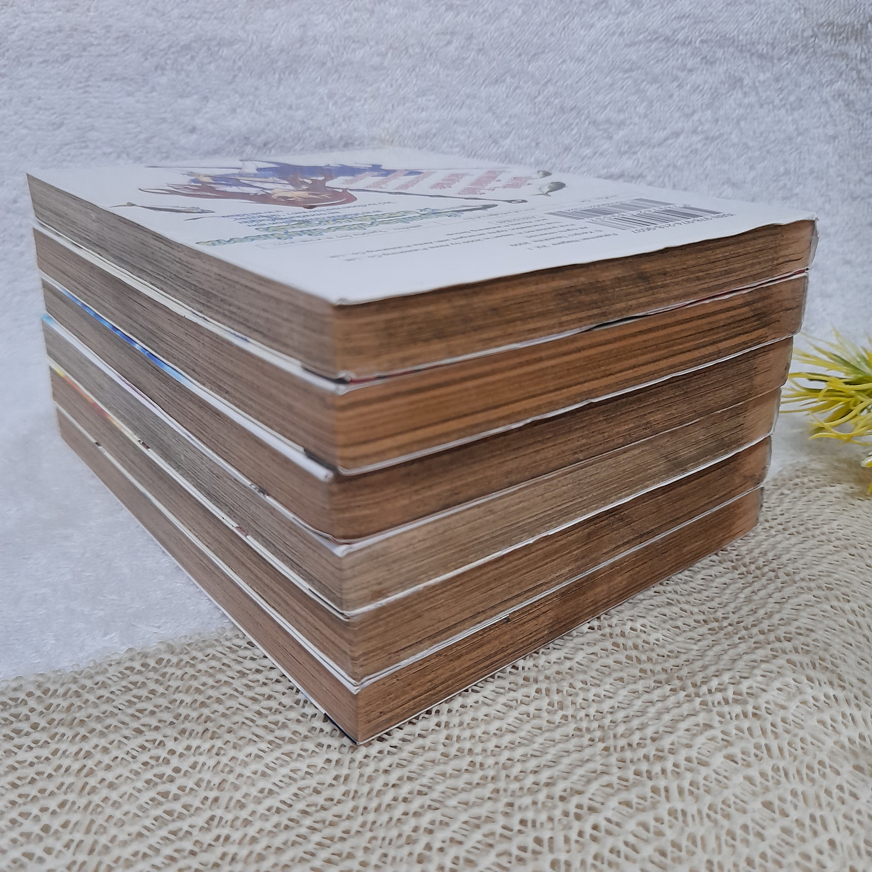 อัจฉริยะตกปลานากาเระ 1-6 ไม่จบ / * ขาดเล่ม 7-11